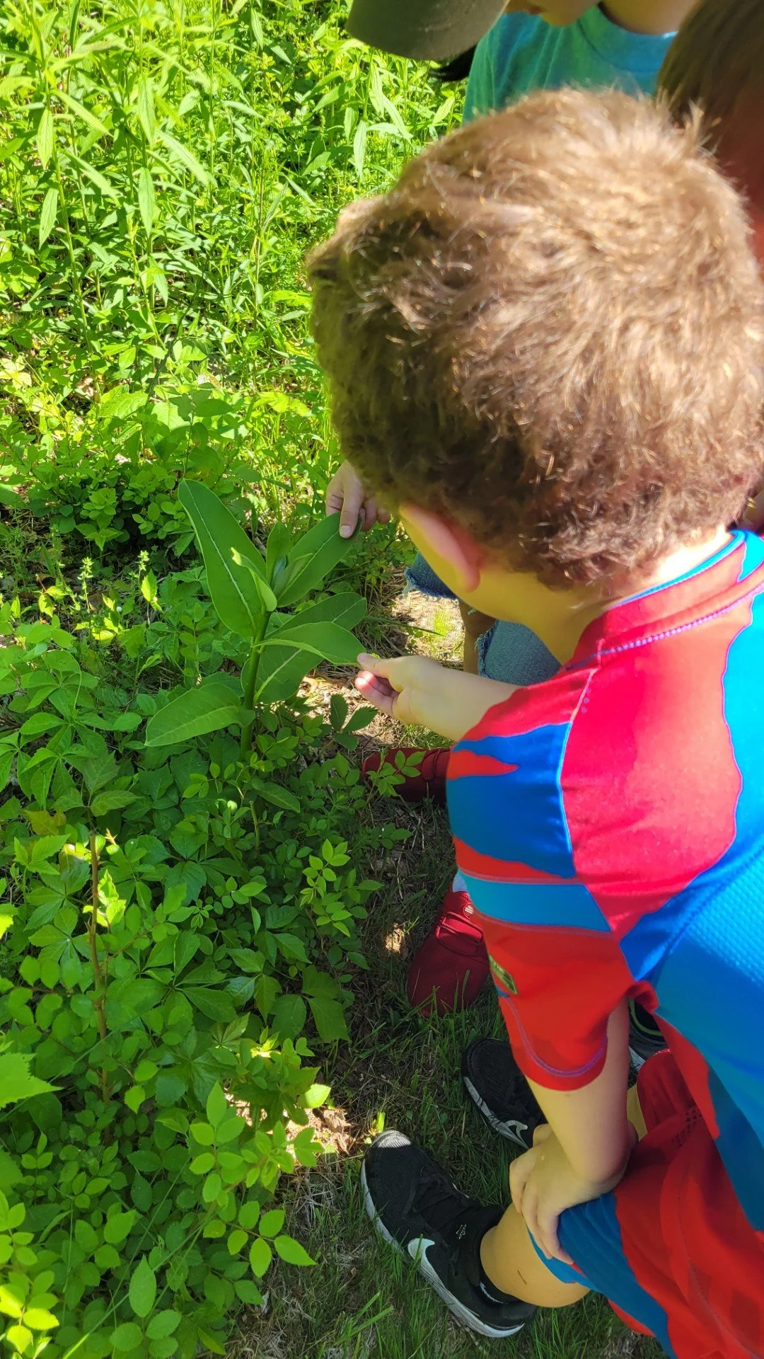 thumbnail_20240522_101144.jpg