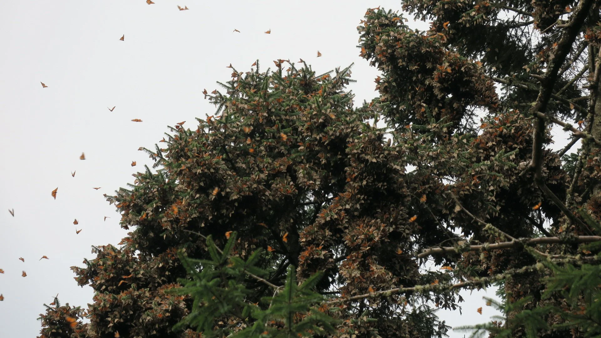 11 de Julio Elementary