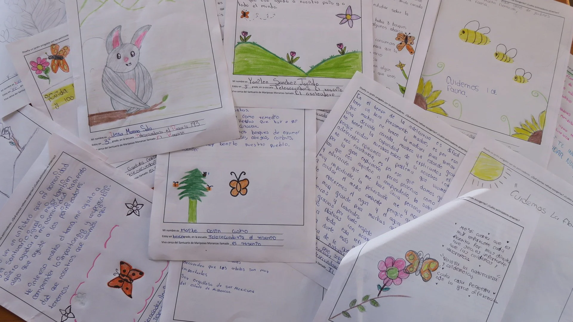 El Rosario Middle School