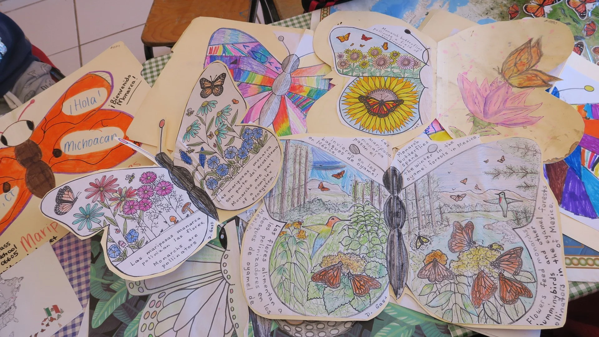 Jean Piaget Kindergarten