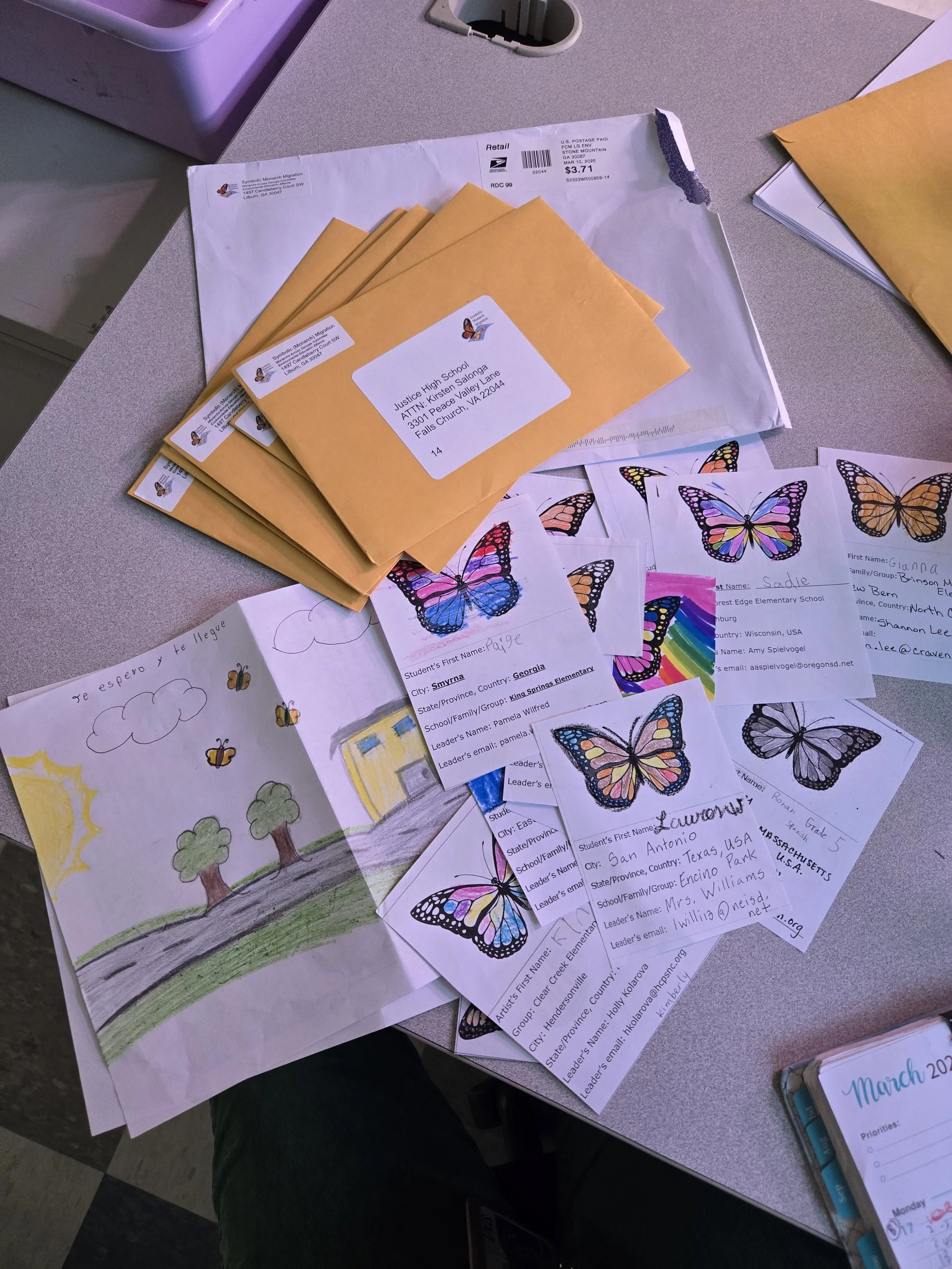 Symbolic Migration Butterflies.jpg