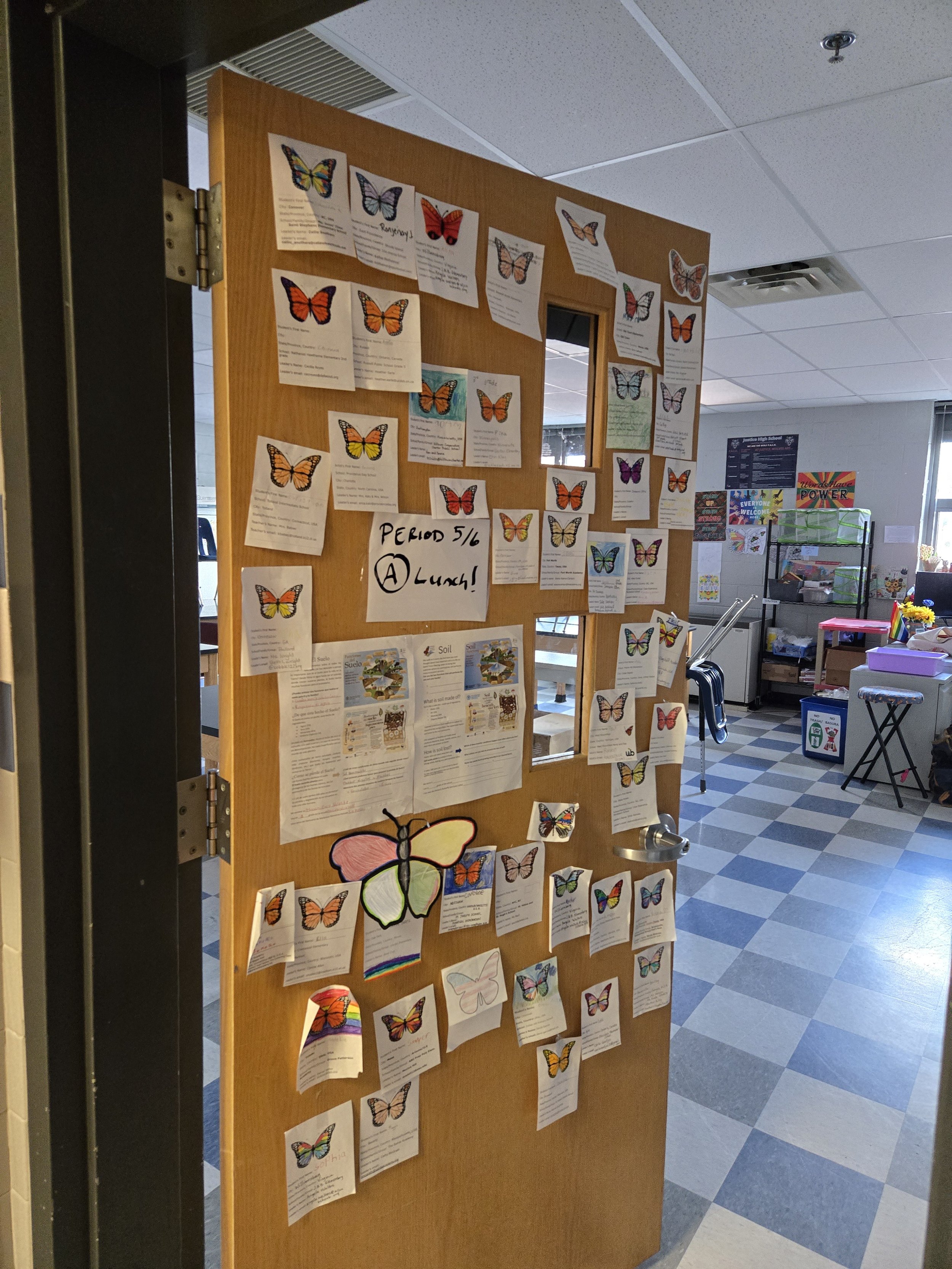 Symbolic Migration Returned Butterflies.jpg