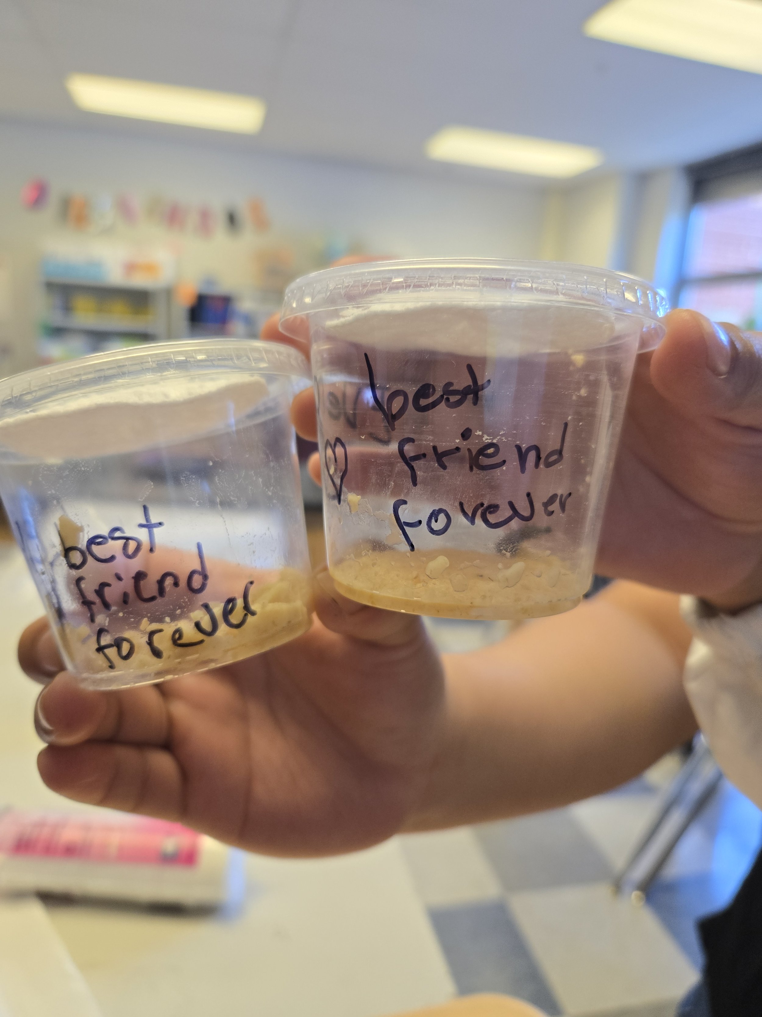 Caterpillar Names.jpg