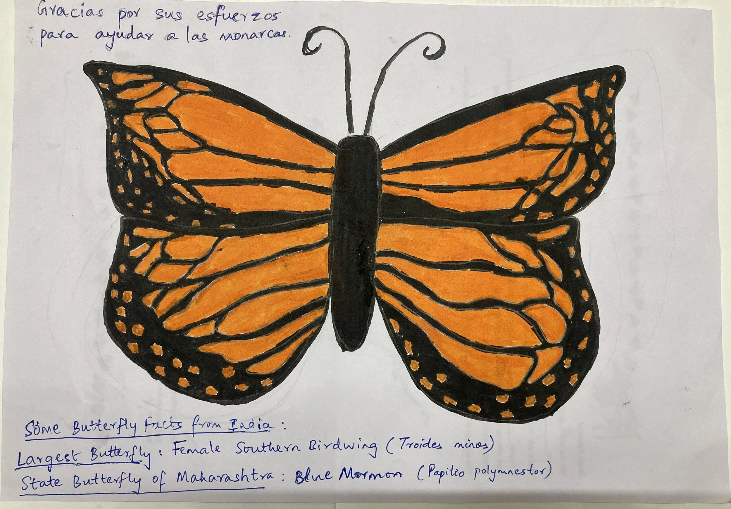 From India with Love