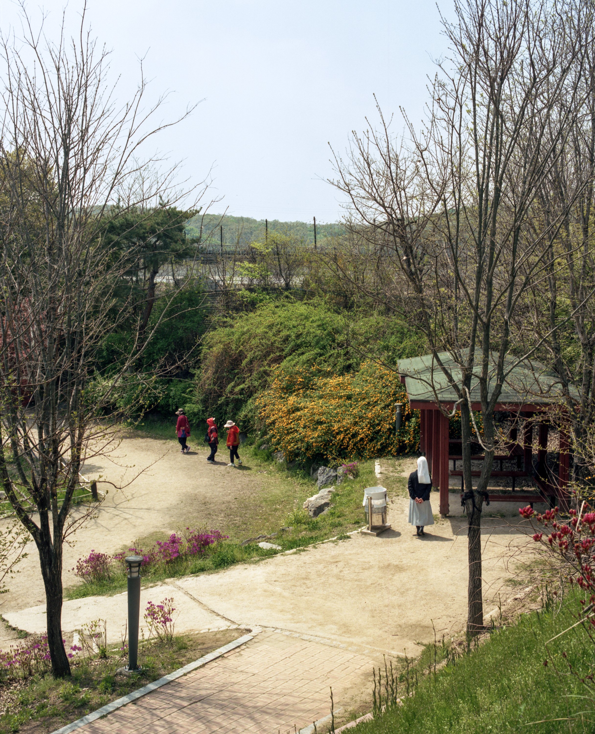 DMZ012-2-3.jpg