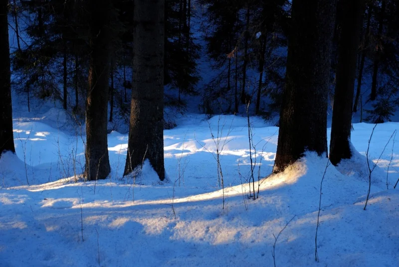 Mid winter, Sognsvann, Oslo, Norway 2011