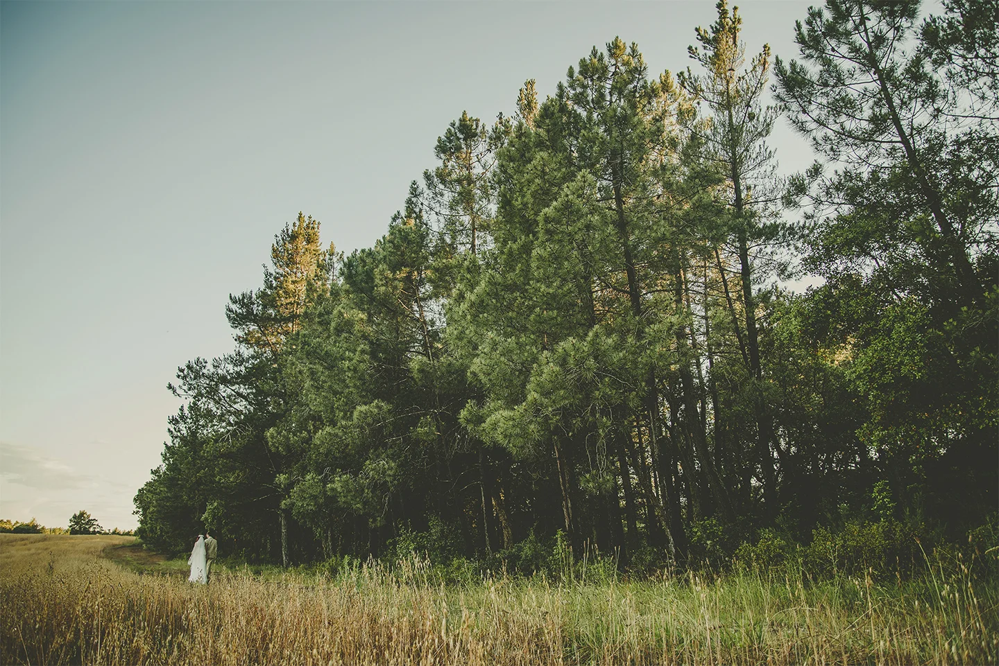 Boda-rural-en-girona (266).jpg