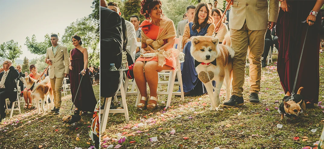 Boda-rural-en-girona (182).jpg