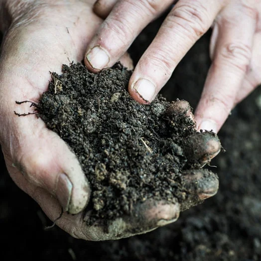 soil-temp.jpg