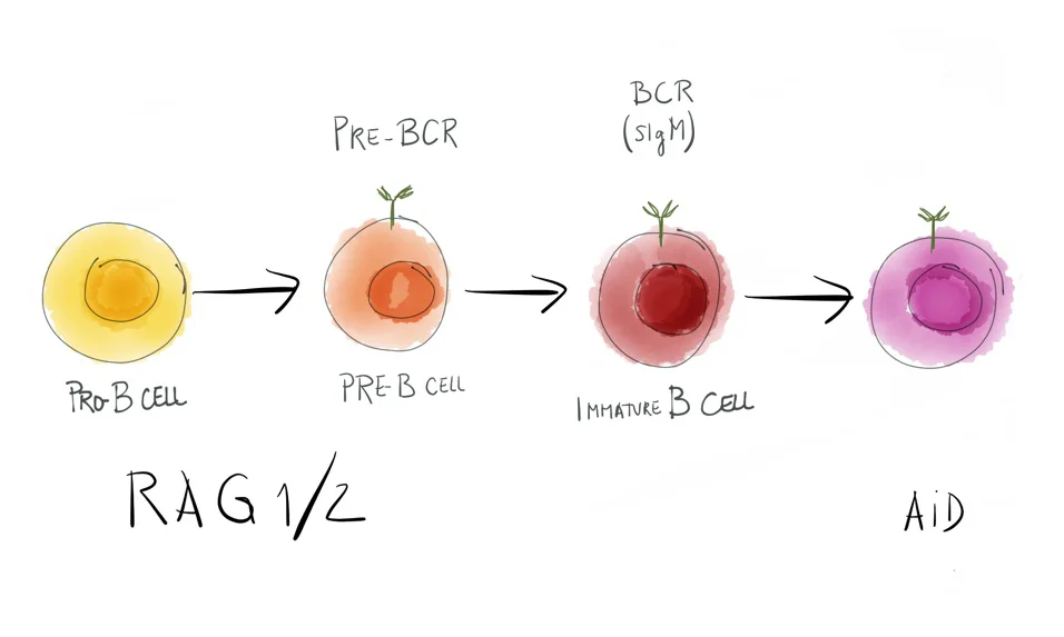 Digital Illustration for scientific talk.