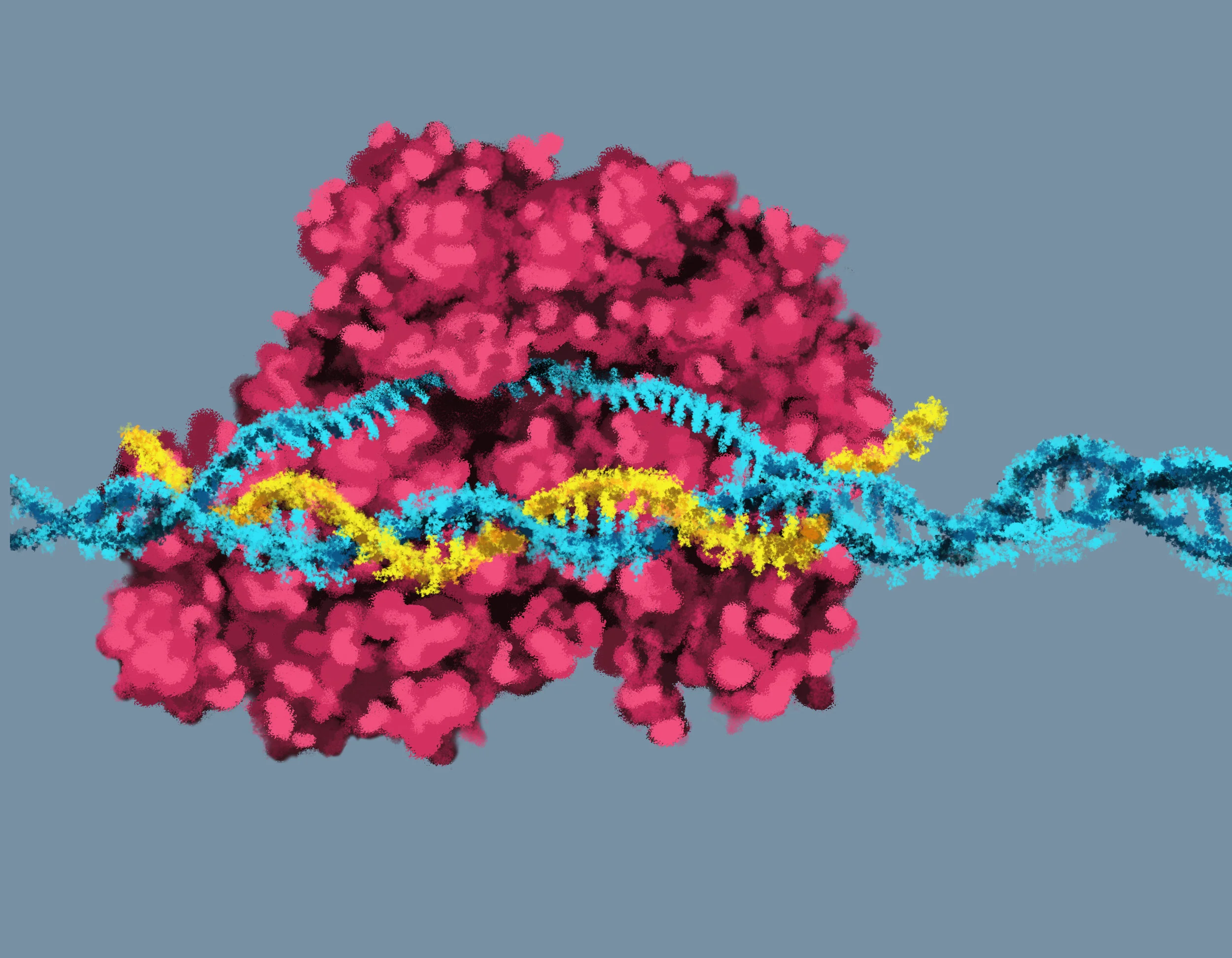 Digital Illustration for scientific website.