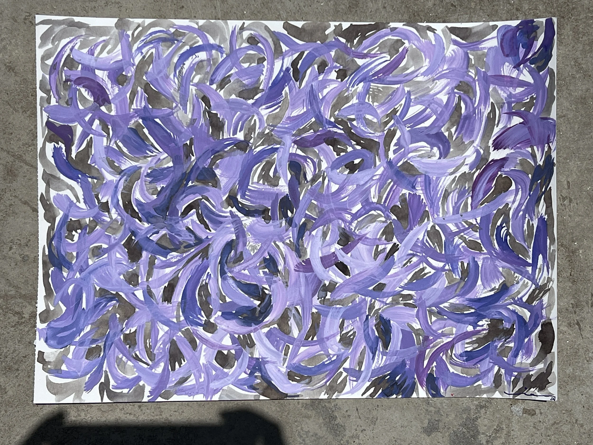 Jacaranda III