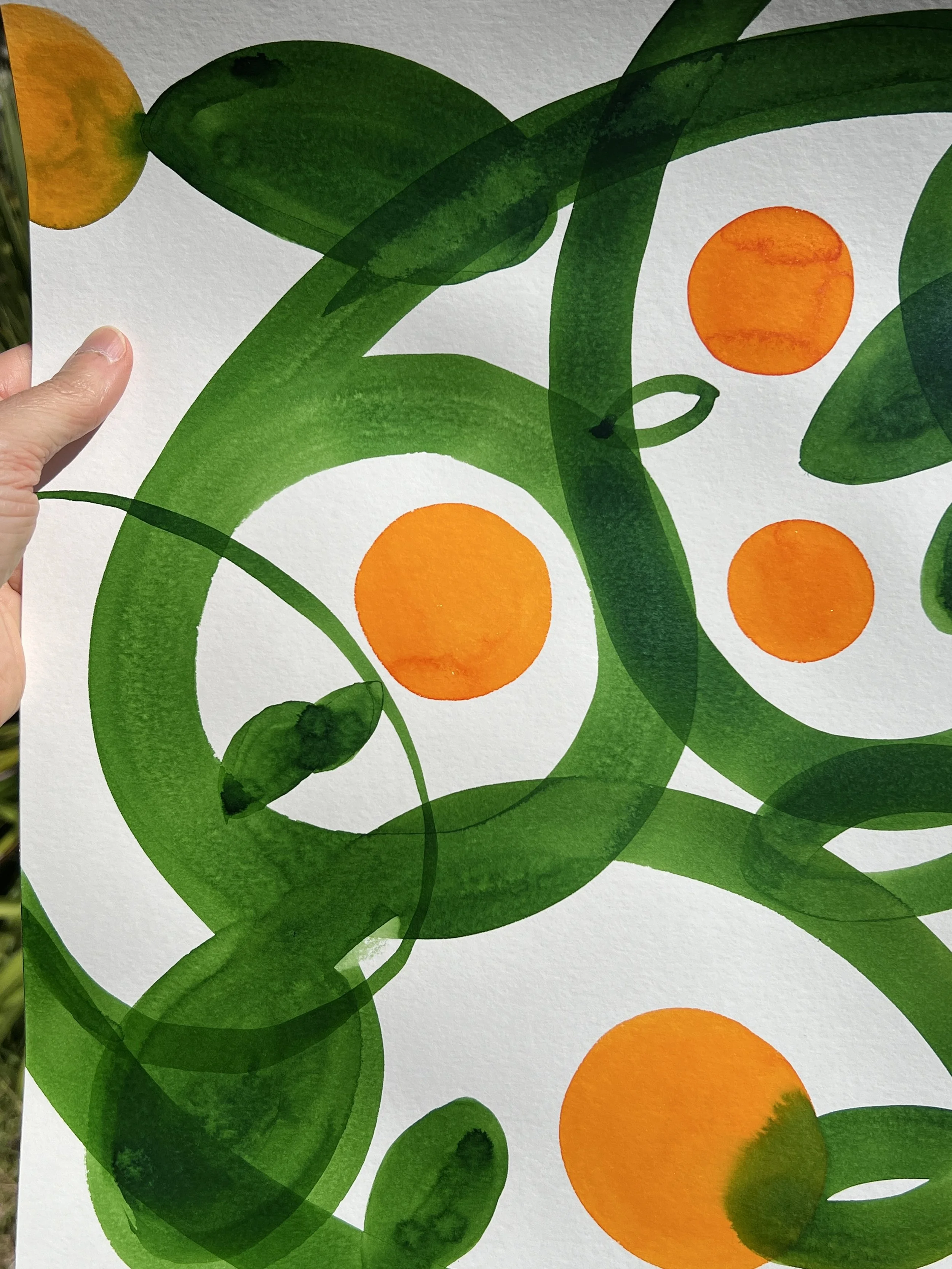 Orangerie IV - Orangery IV/ Laranjal IV