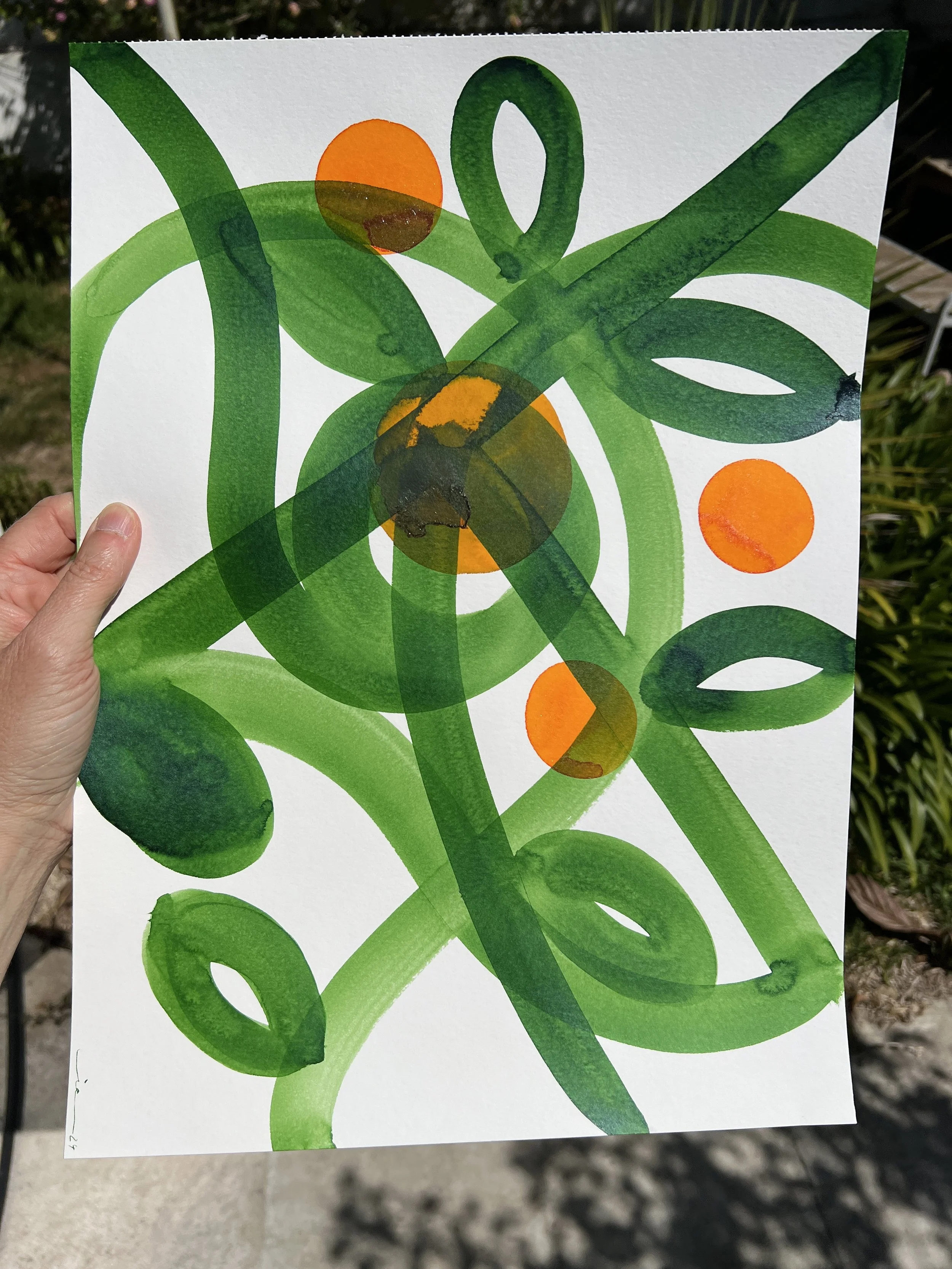 Orangerie II - Orangery II/ Laranjal II