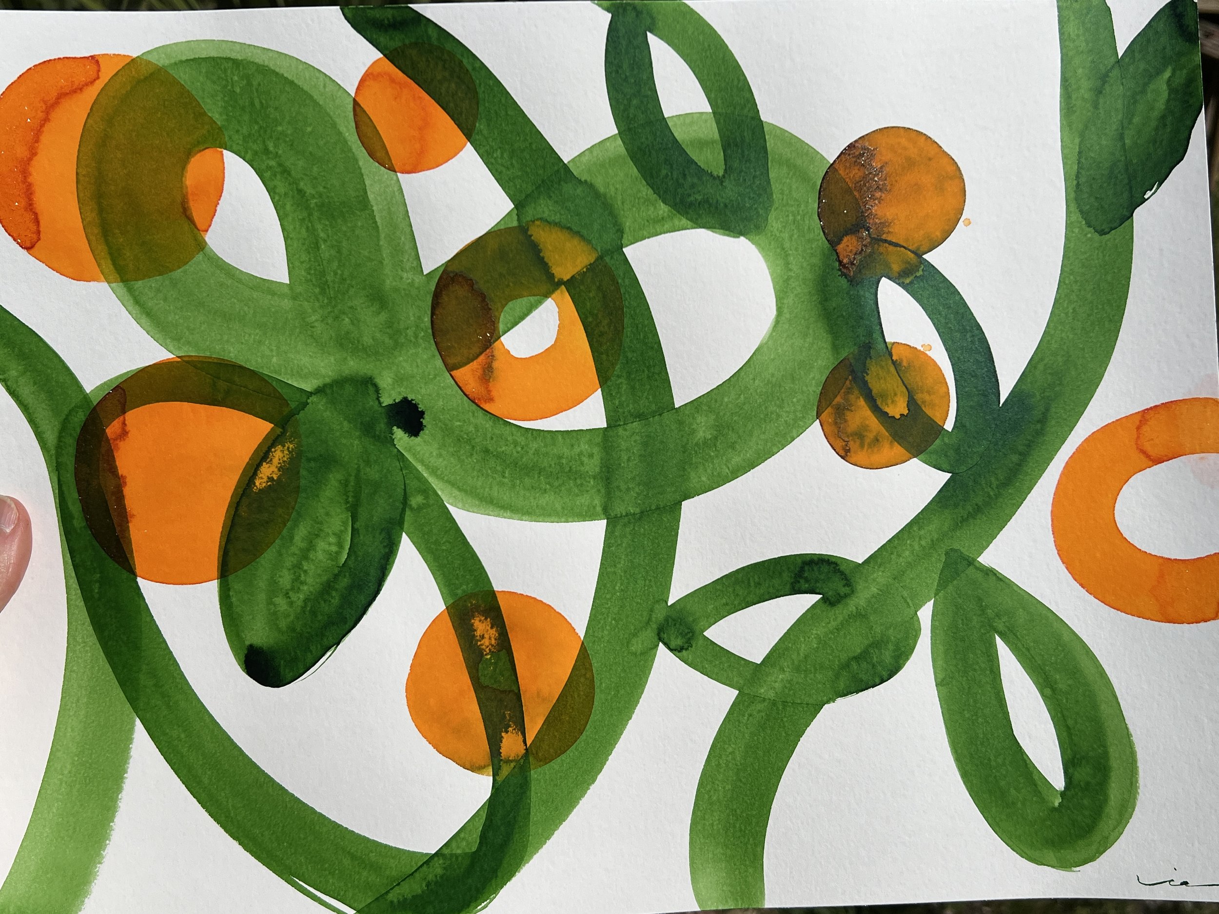 Orangerie III - Orangery III/ Laranjal III