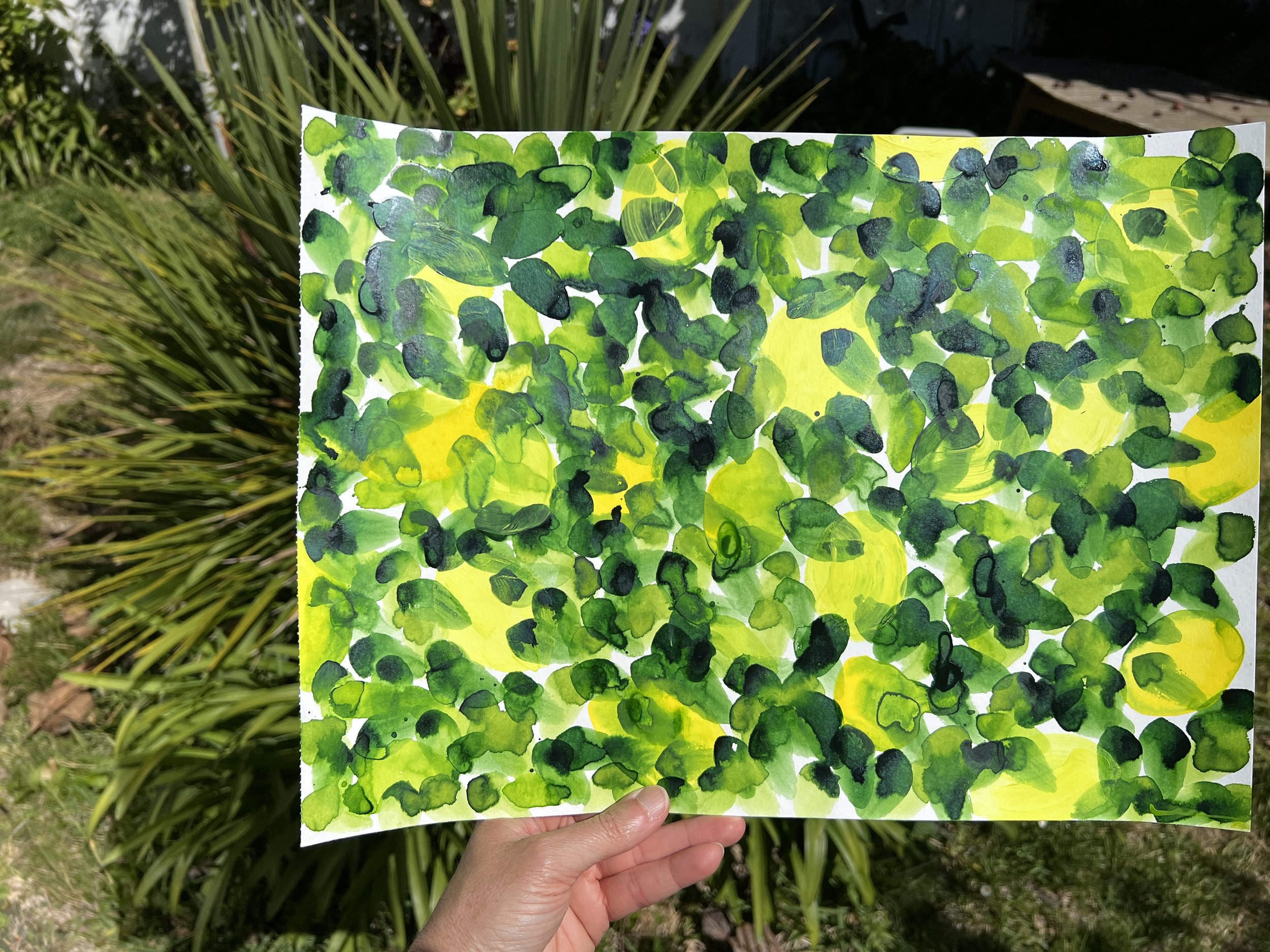 Citronnier II - Lemon Tree II /Limoeiro II