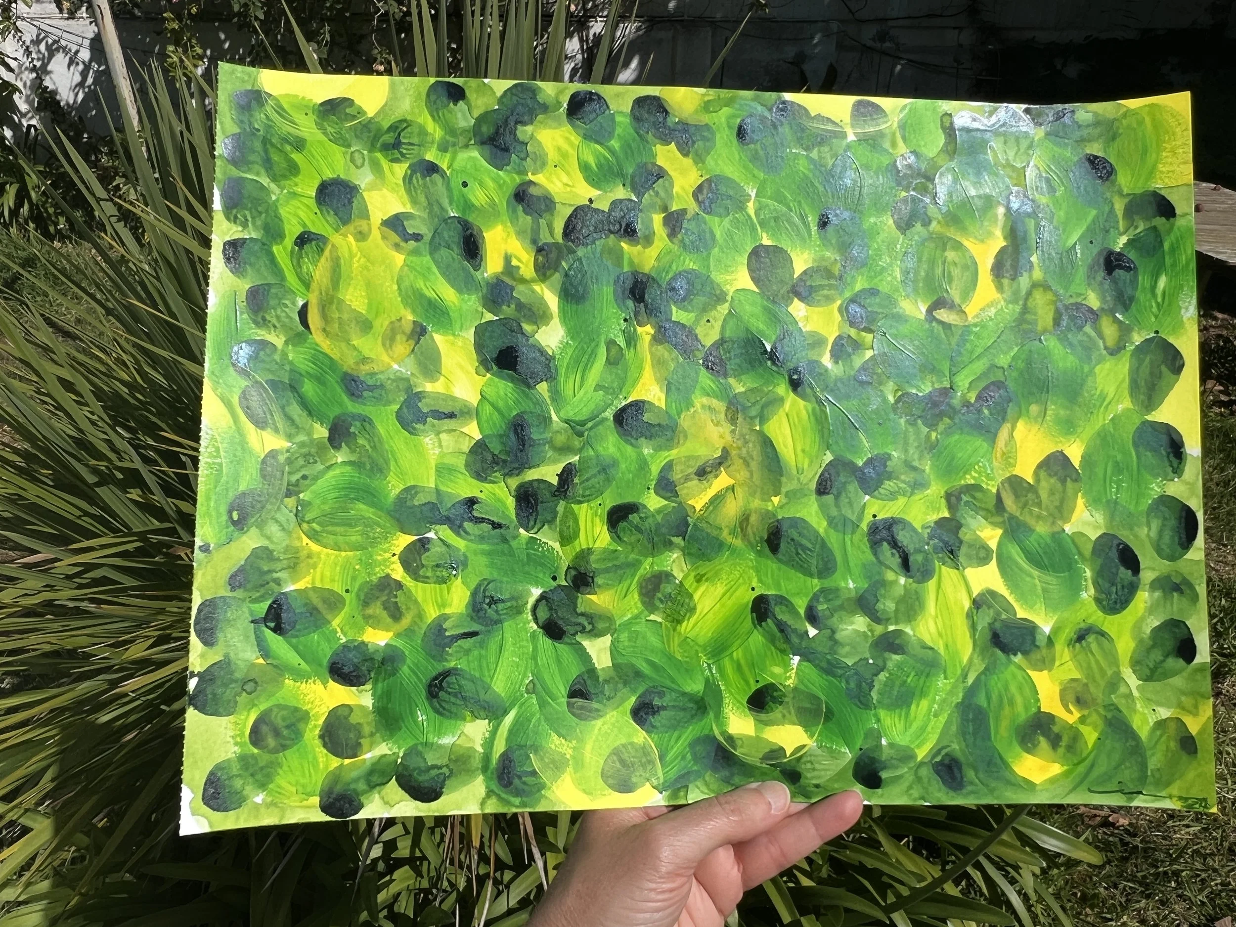 Citronnier III - Lemon Tree III /Limoeiro III