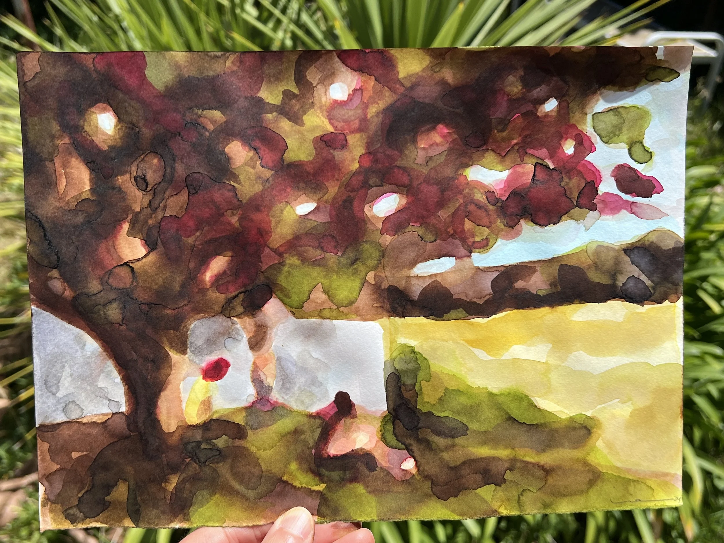 LaCampagnaA4-WatercolorsPaper-LiaFerreira3.JPG