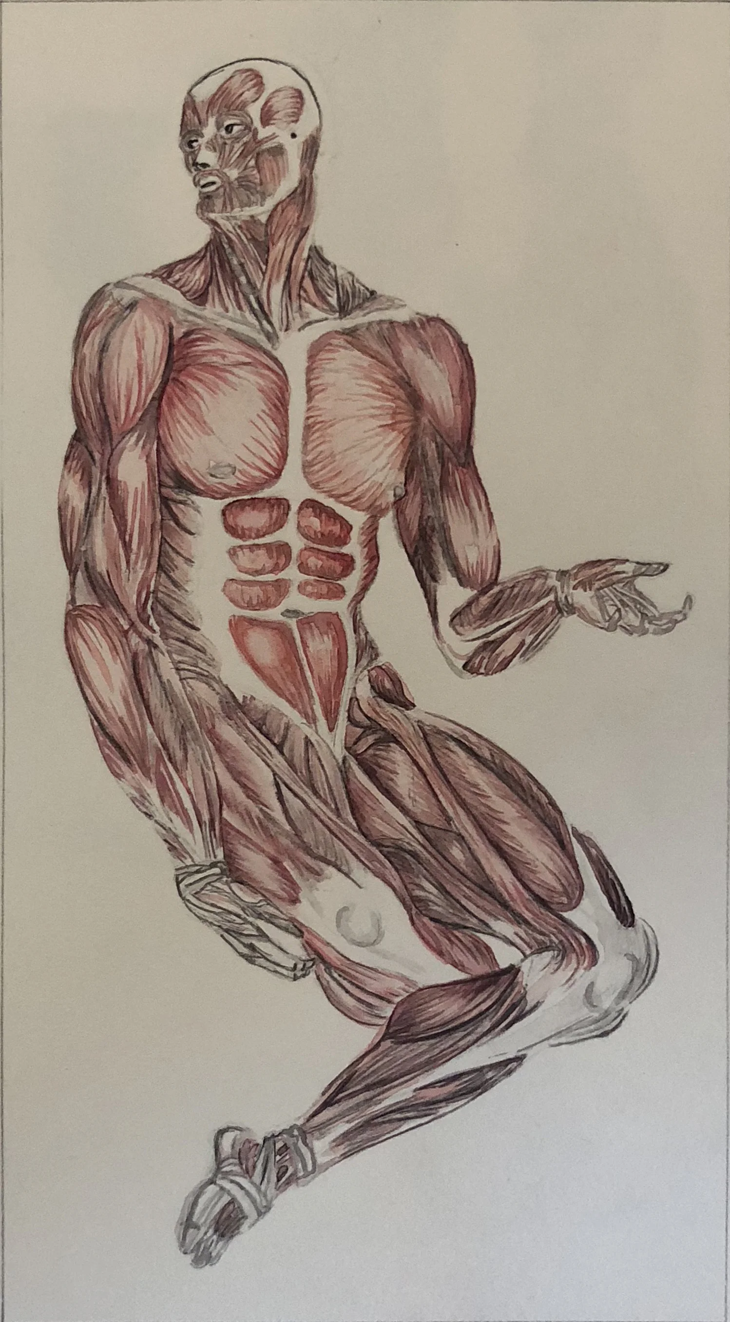 Ink and Watercolor on Drawing Paper