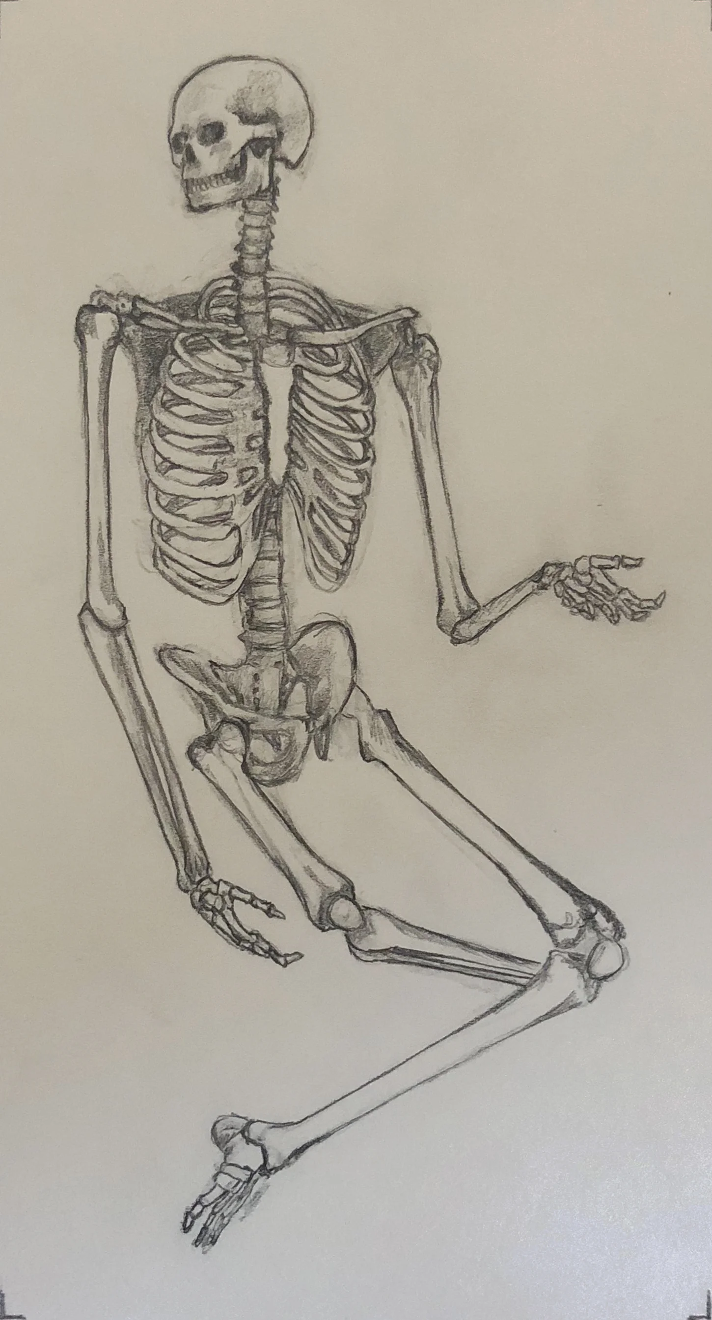 Graphite on Drawing Paper