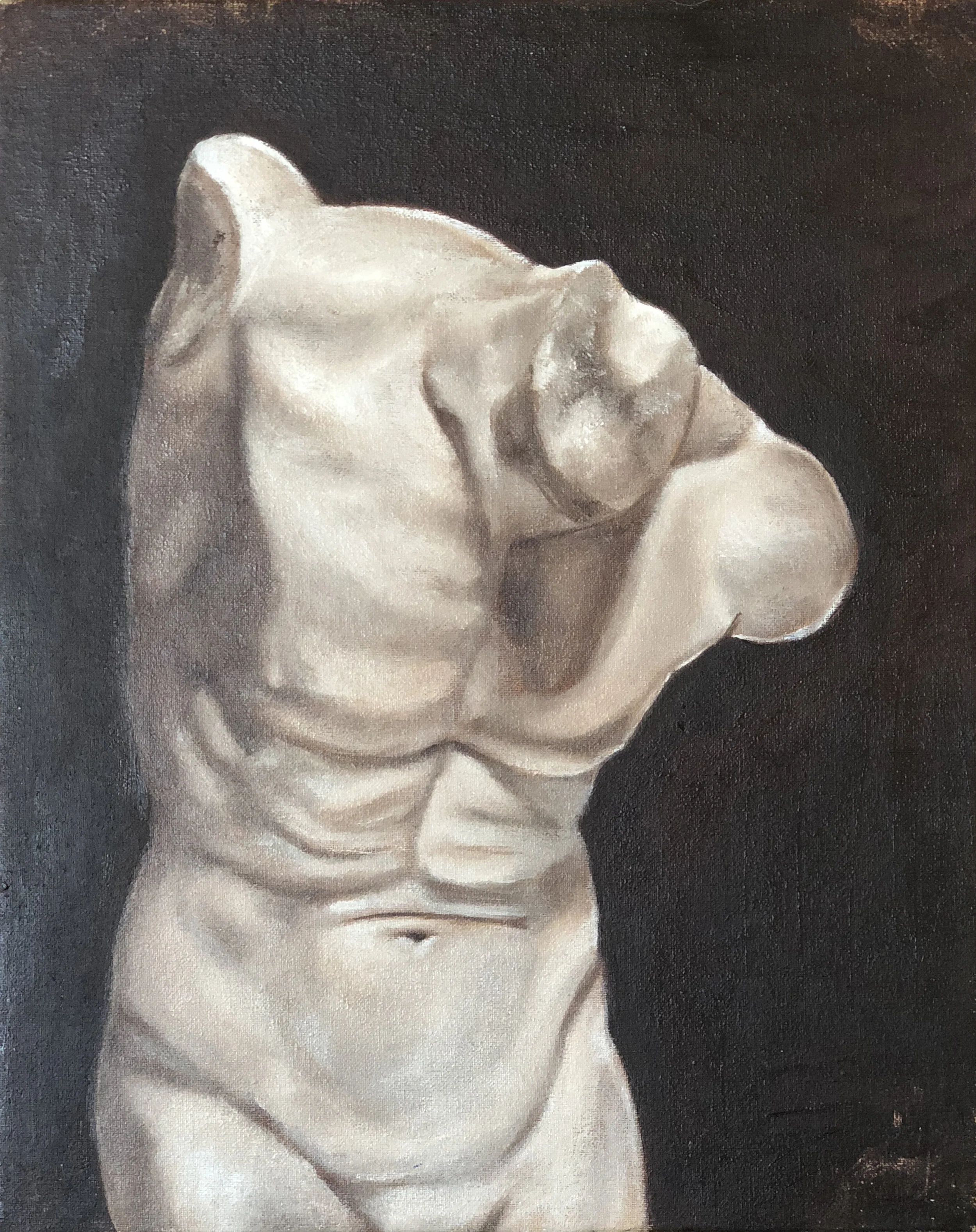 Male front torso study 