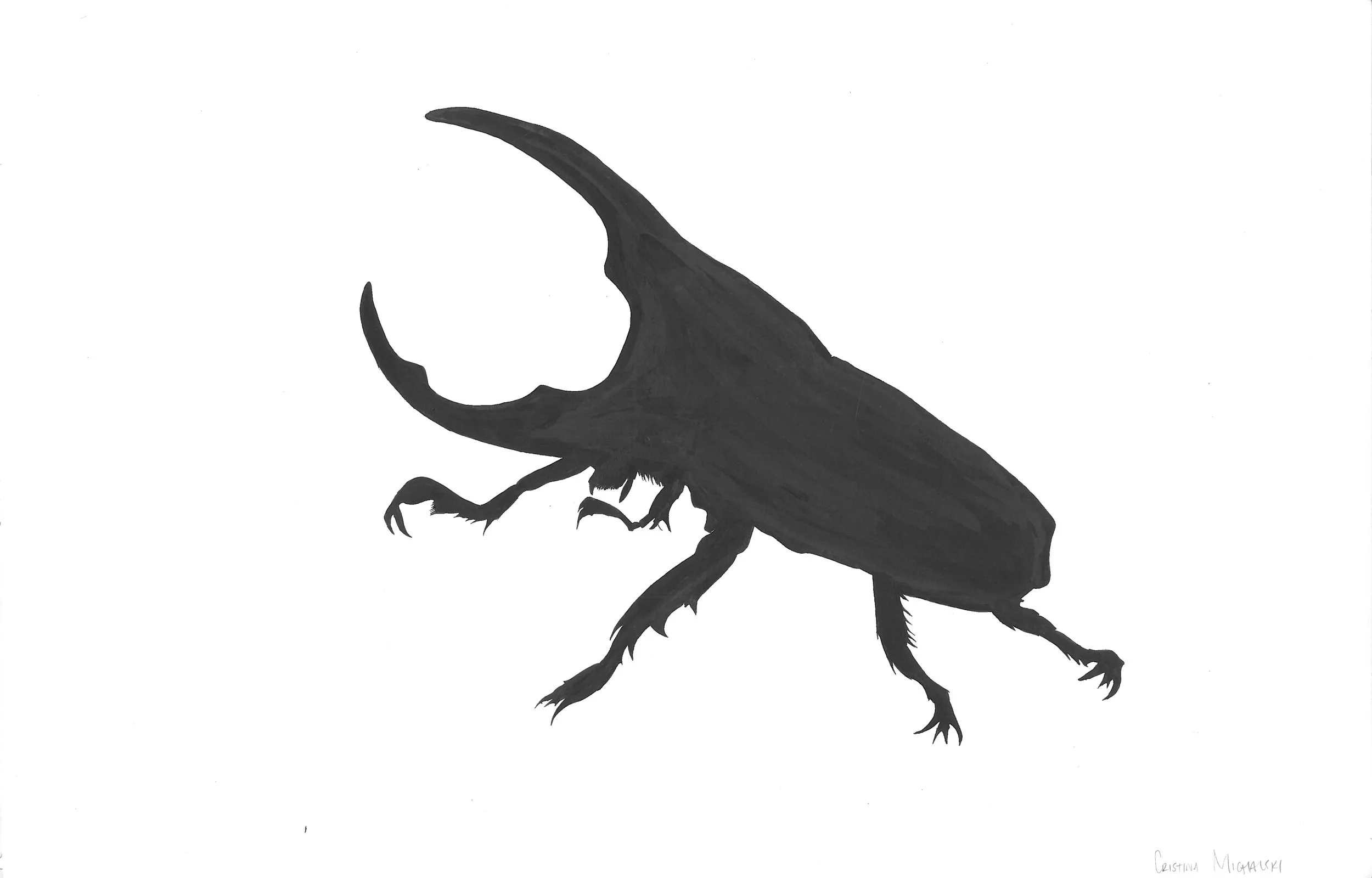 Ink Silhouette on Vellum Bristol