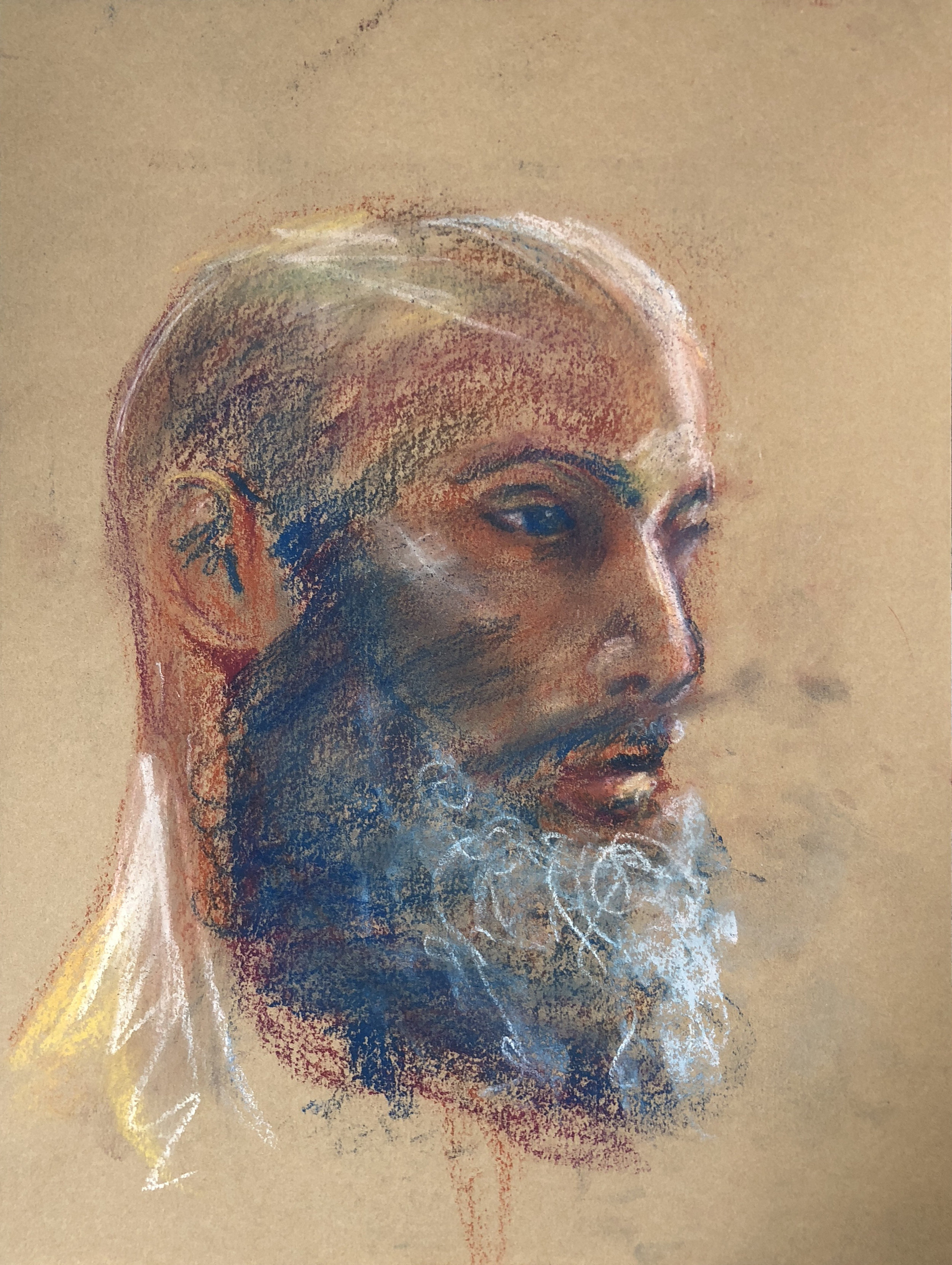 looking up back-beard- kraft paper pastels 9x12 .JPG