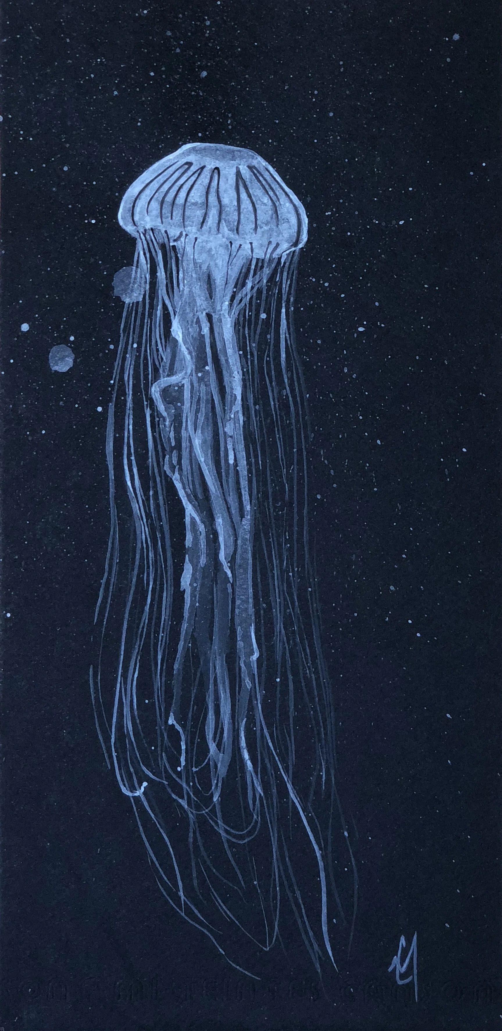 jelly 6 1:2 x 12.JPG