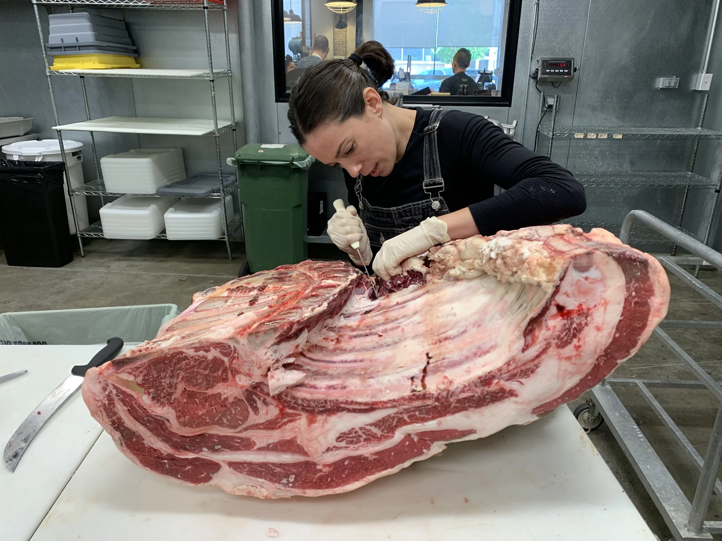 Beef Primal Series - Chuck