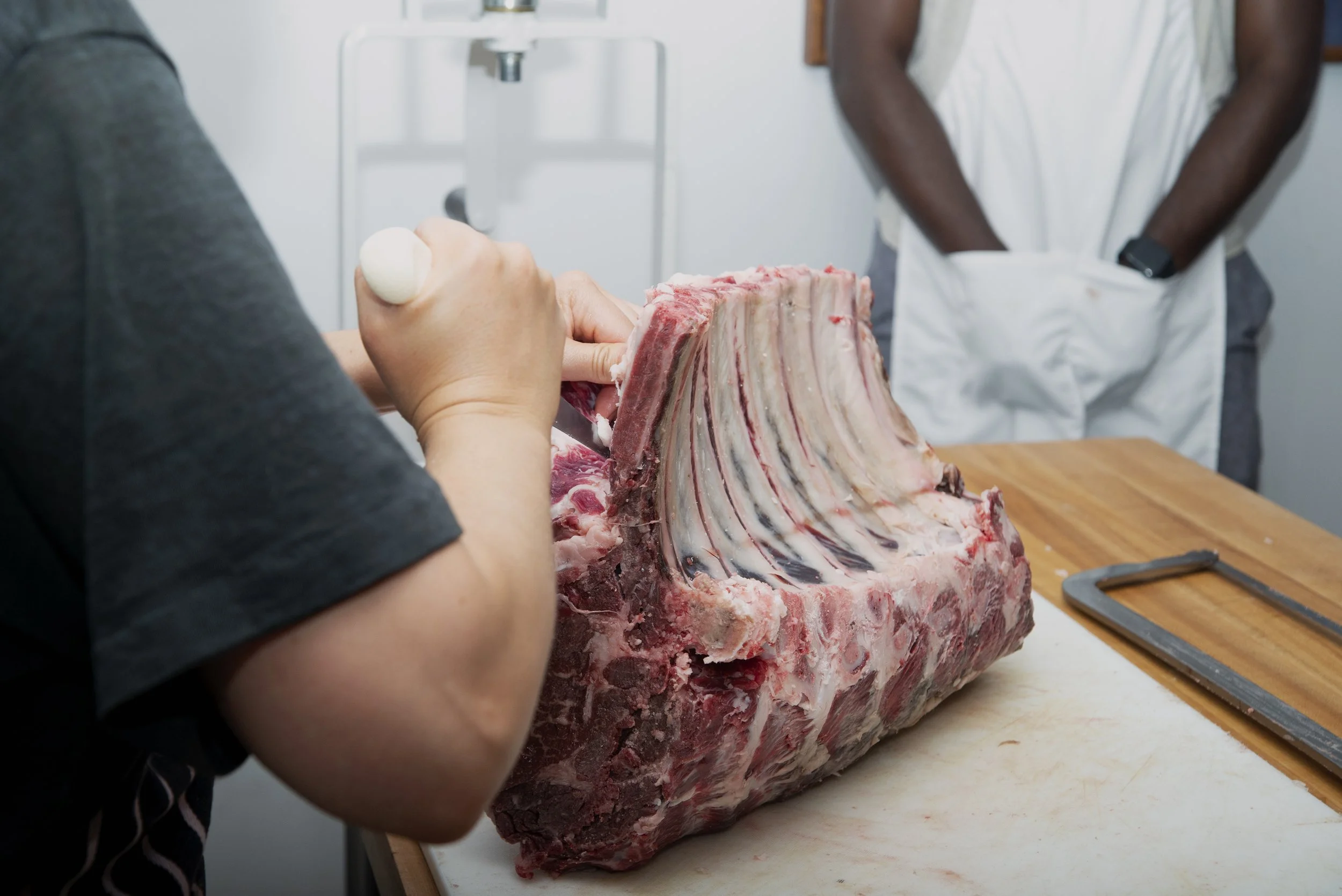 Beef Primal Series - Rib