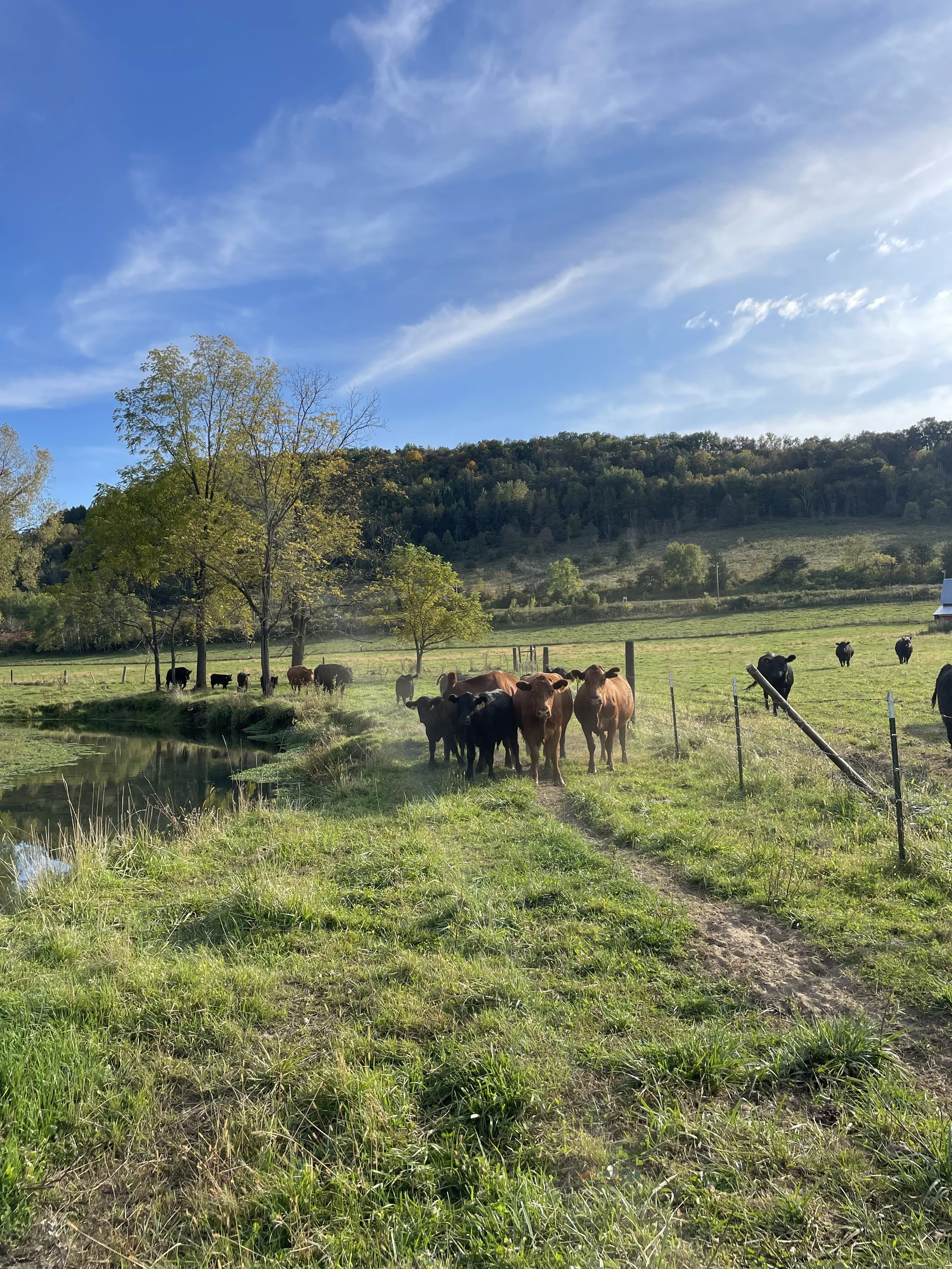 Driftless Weekend