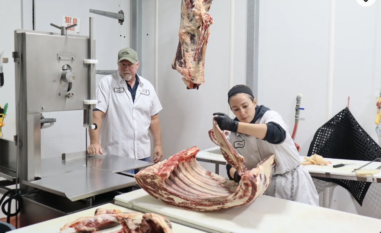 Immersive Beef Butchery