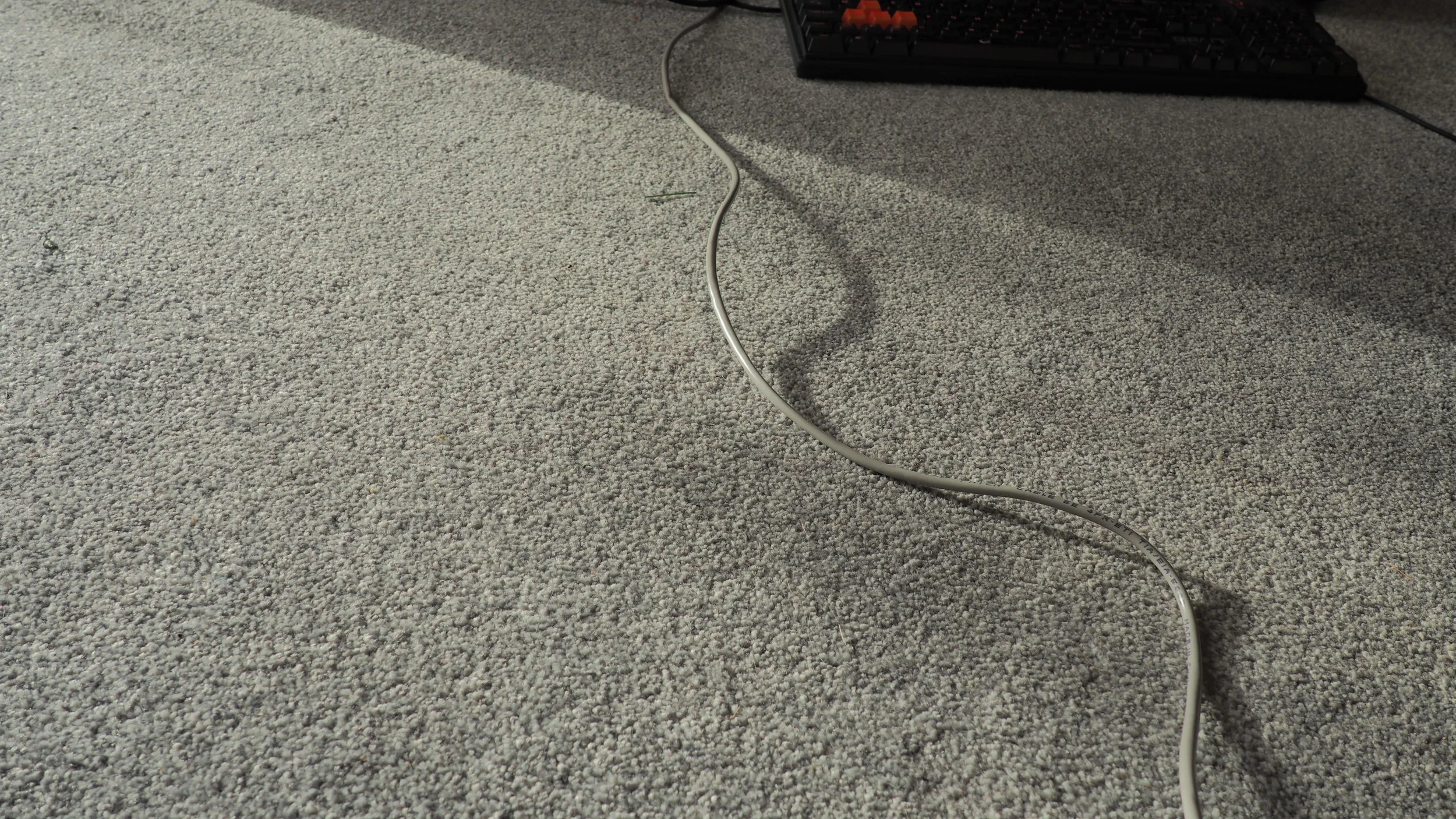 P1030343.JPG