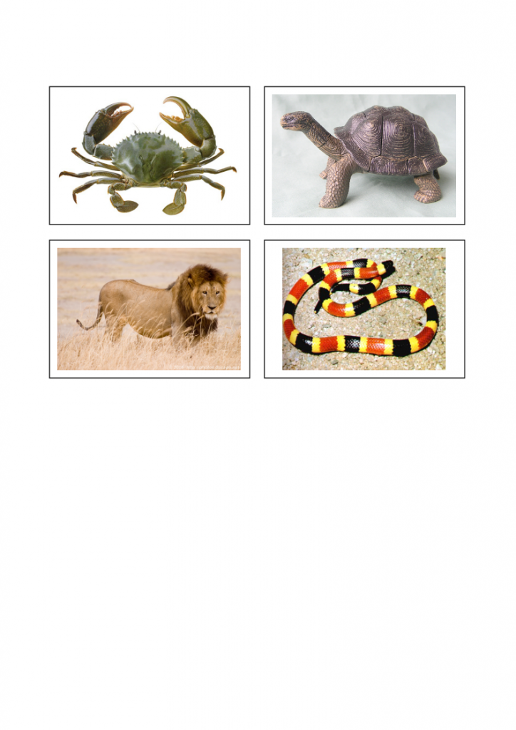 31.-Peter-leads-the-believers-lessonEng_010-724x1024.png