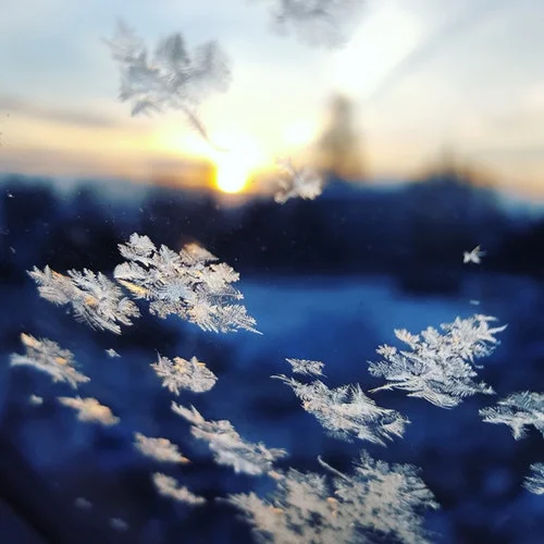 Unique Like a Snowflake