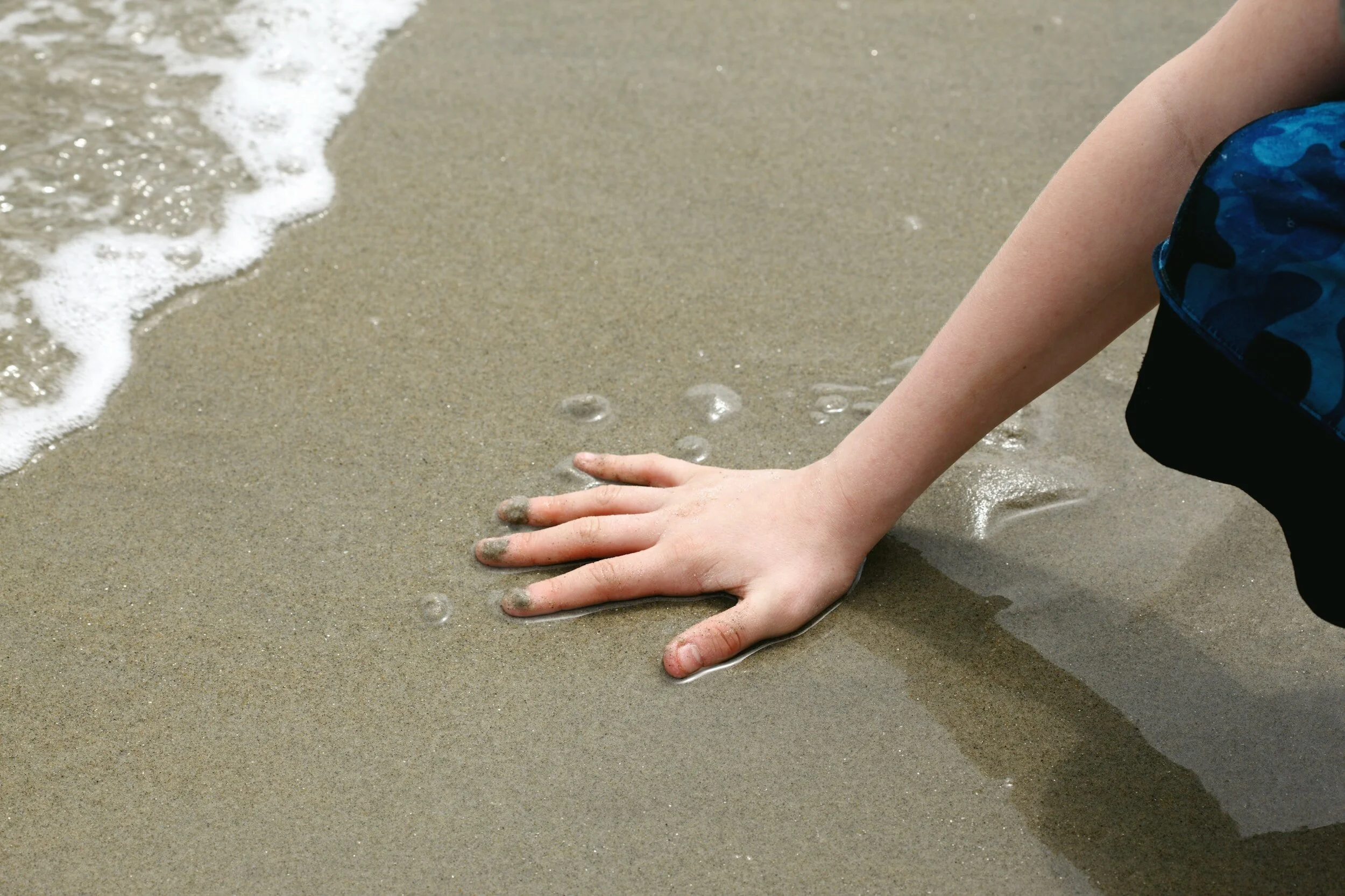 Lesson 13: Explore the 5 Senses