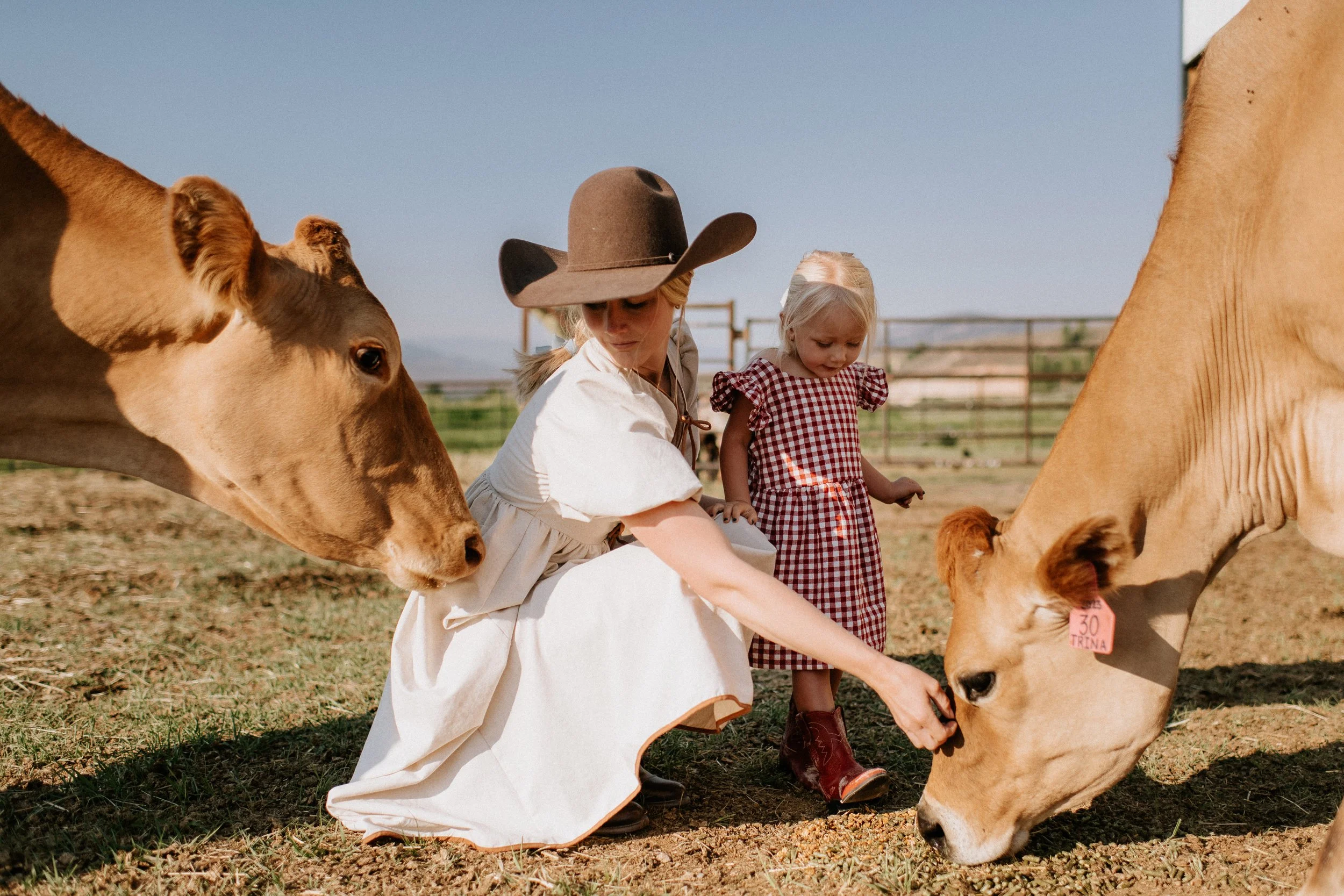 Colorado Western Lifestyle Session at Family Ranch