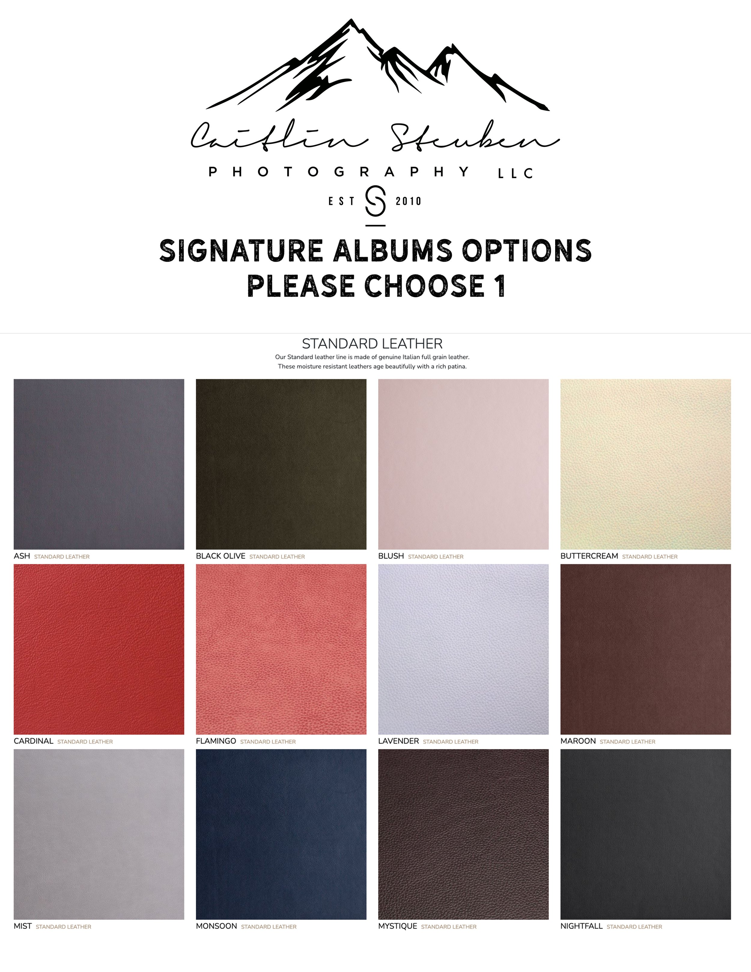 standard leather 1.jpg