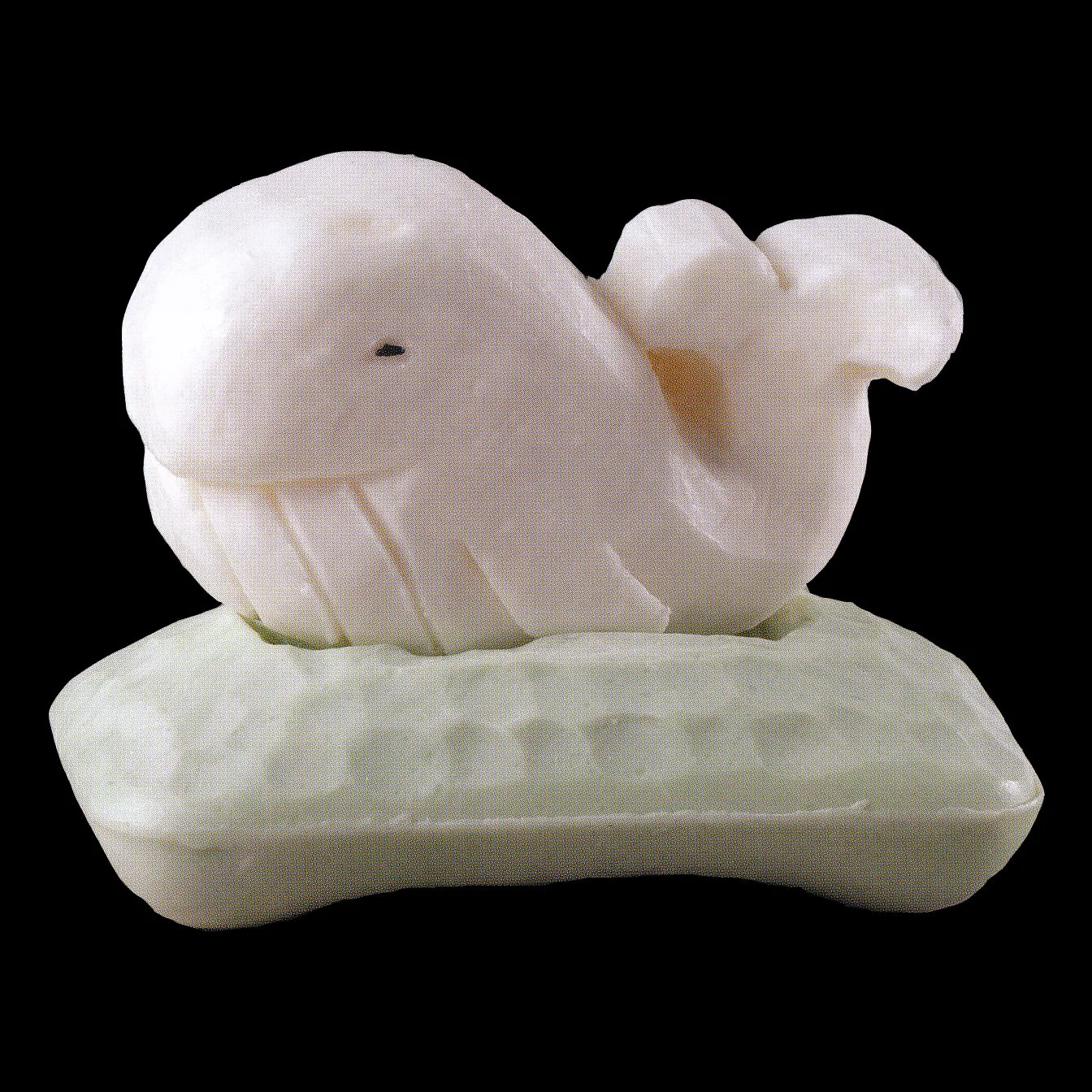 Whale