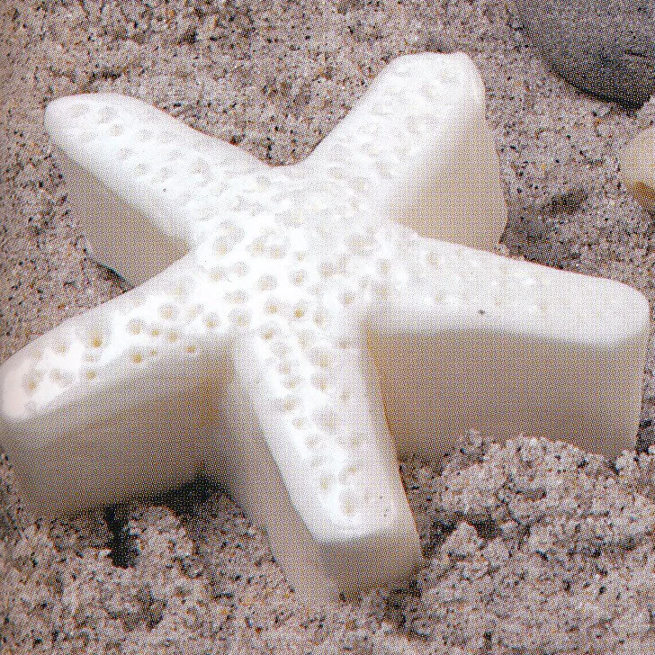 Starfish