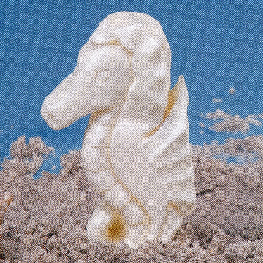 Seahorse #1