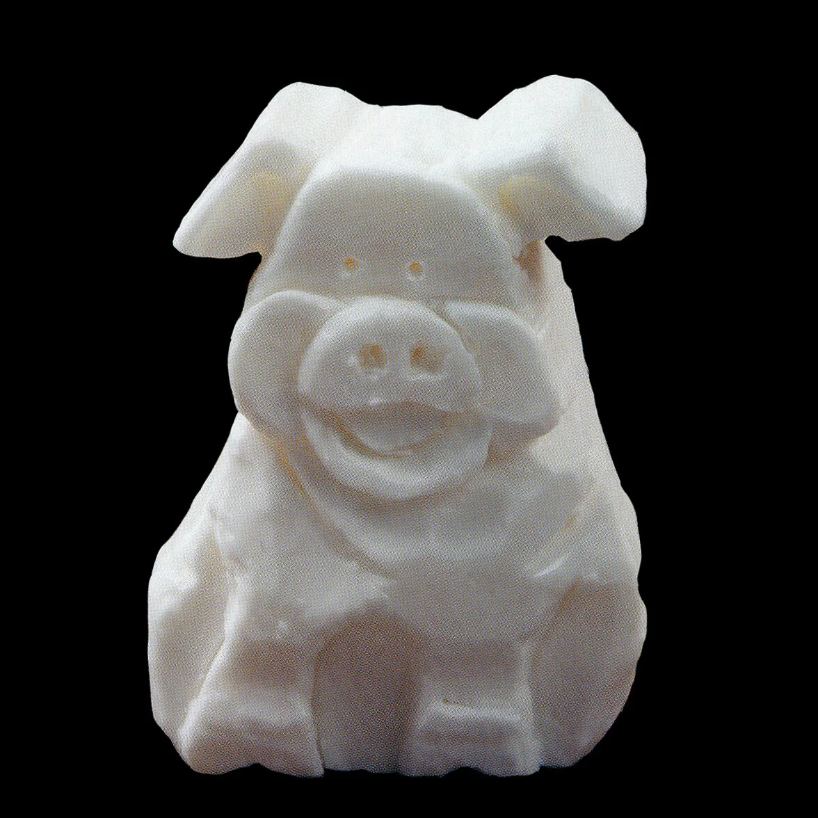 Pig