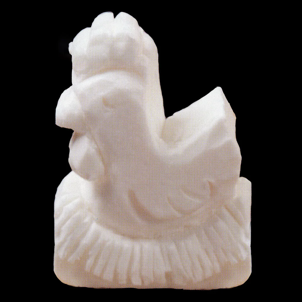 Hen on nest