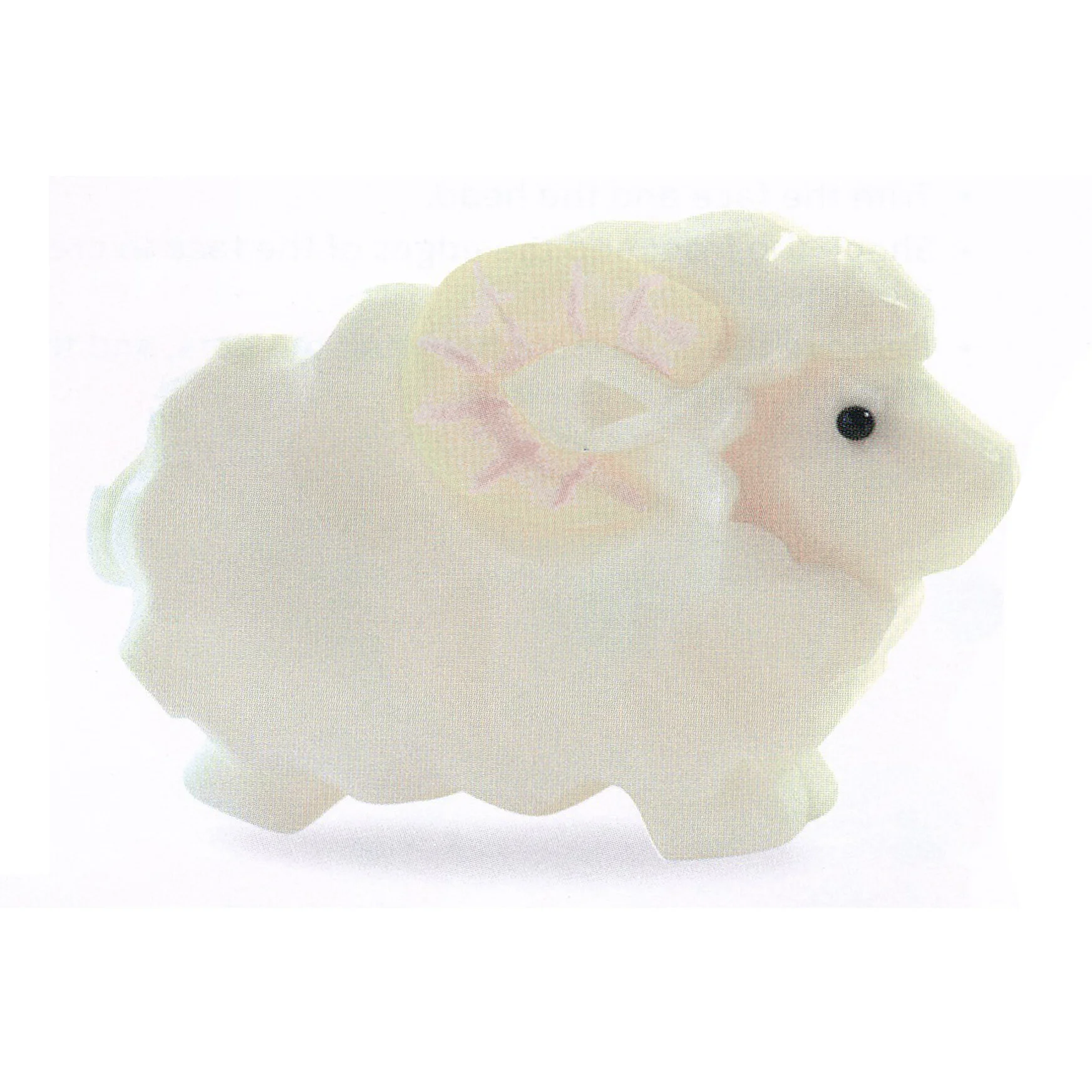 Sheep