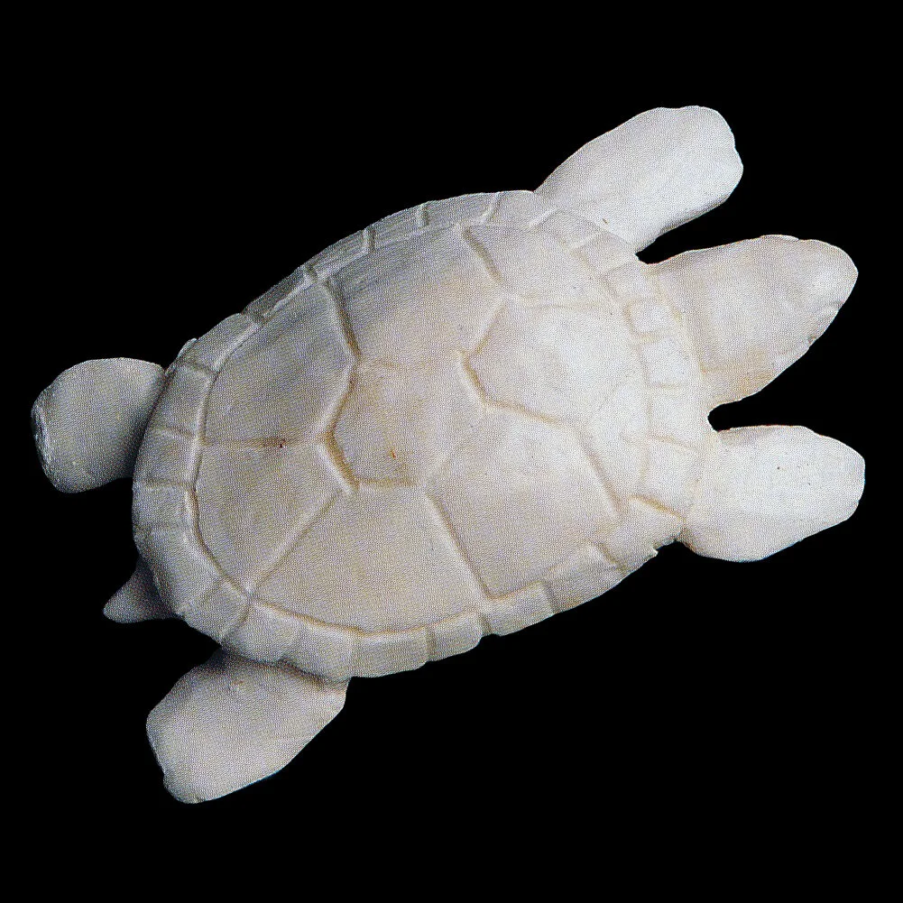Sea Turtle