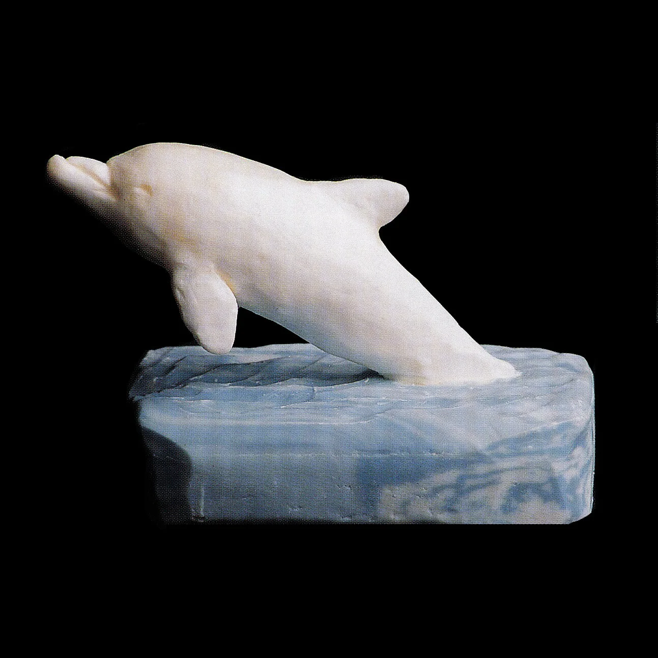 Leaping dolphin
