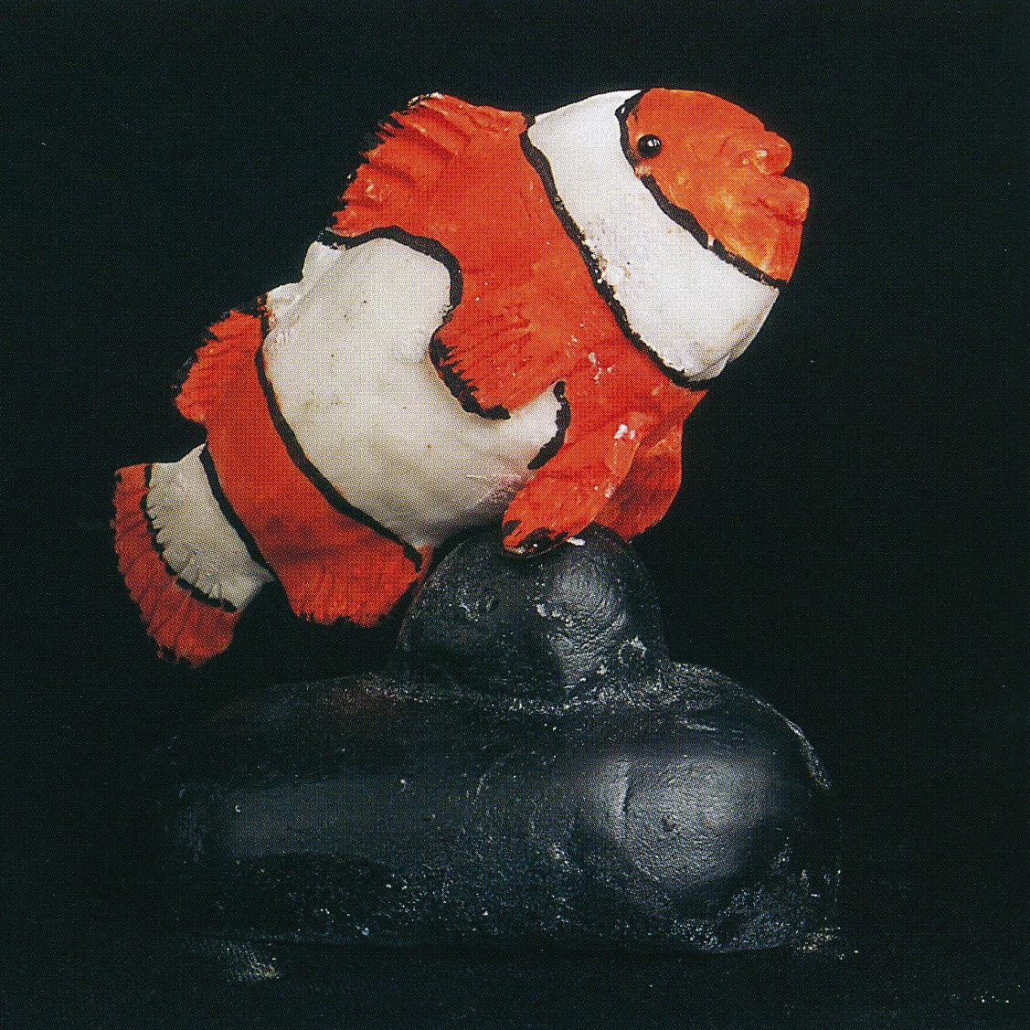 Clownfish