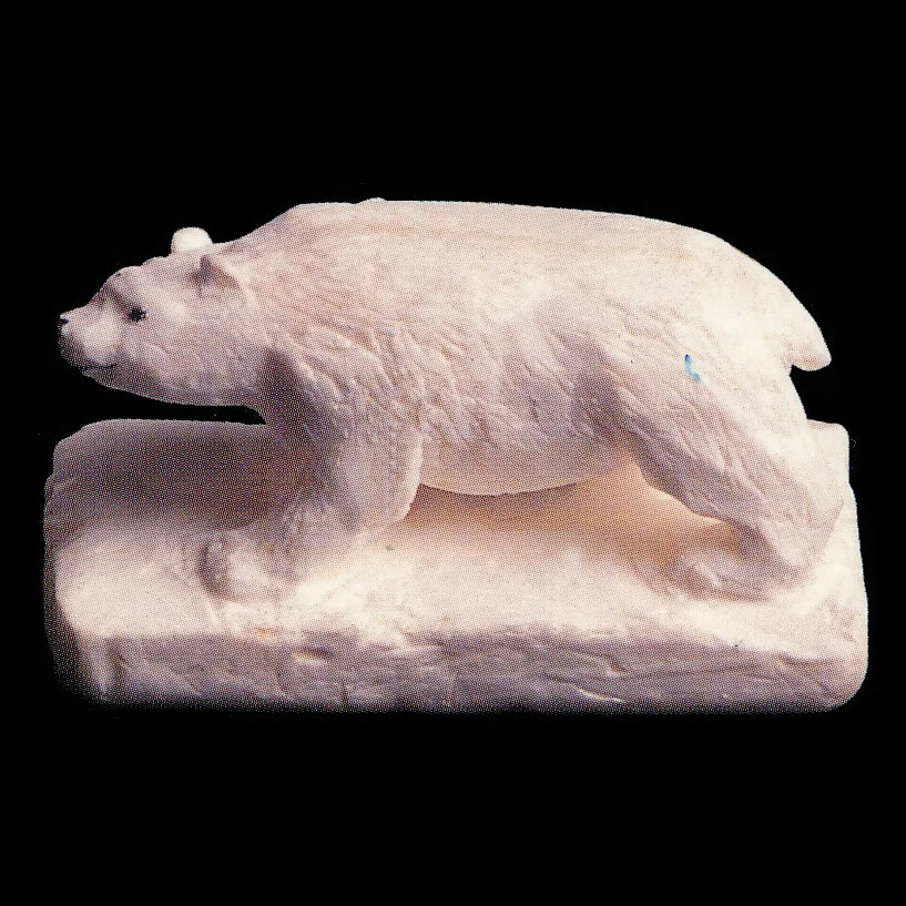 Black Bear