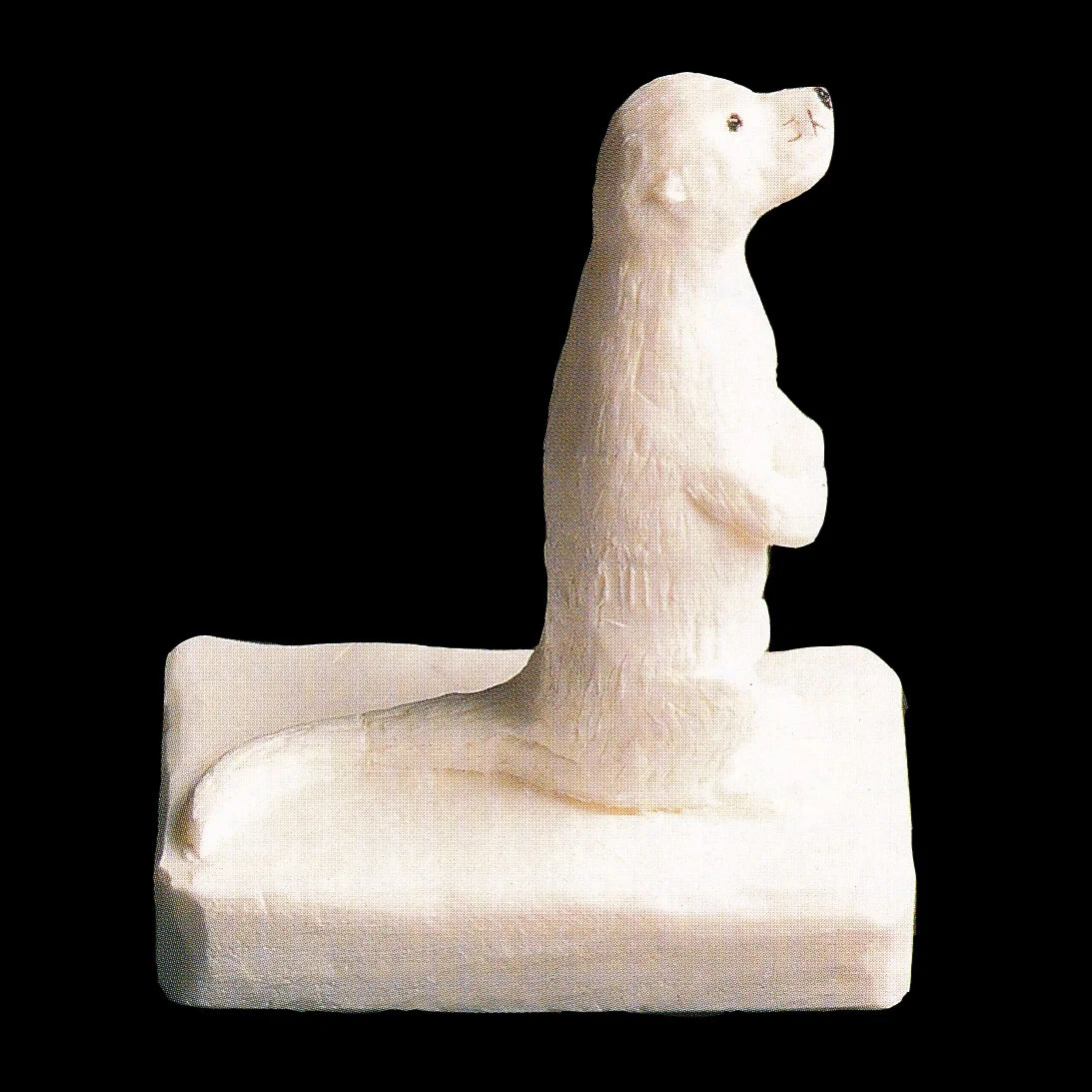 River Otter