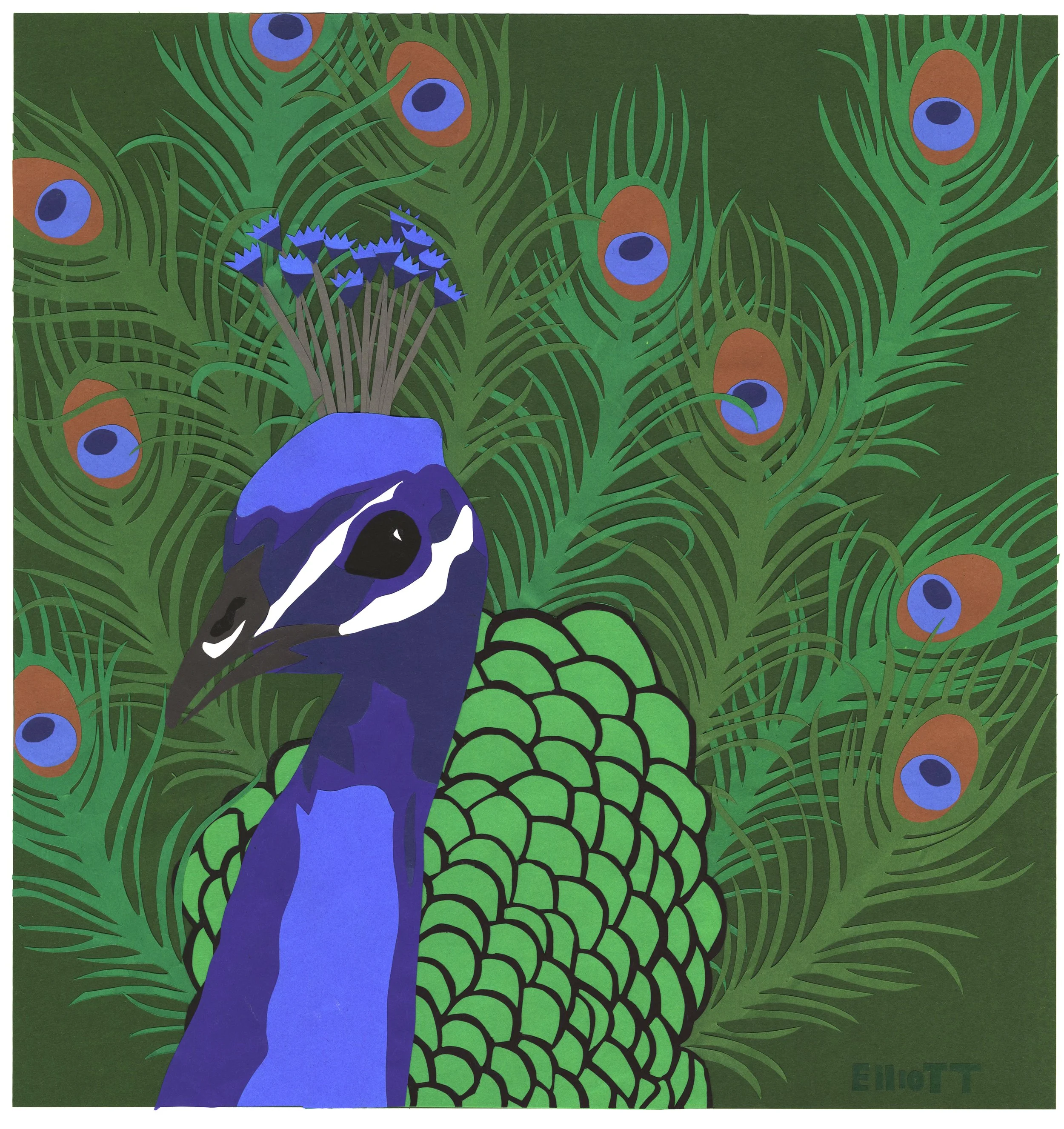 2020_'Peacock'.jpg
